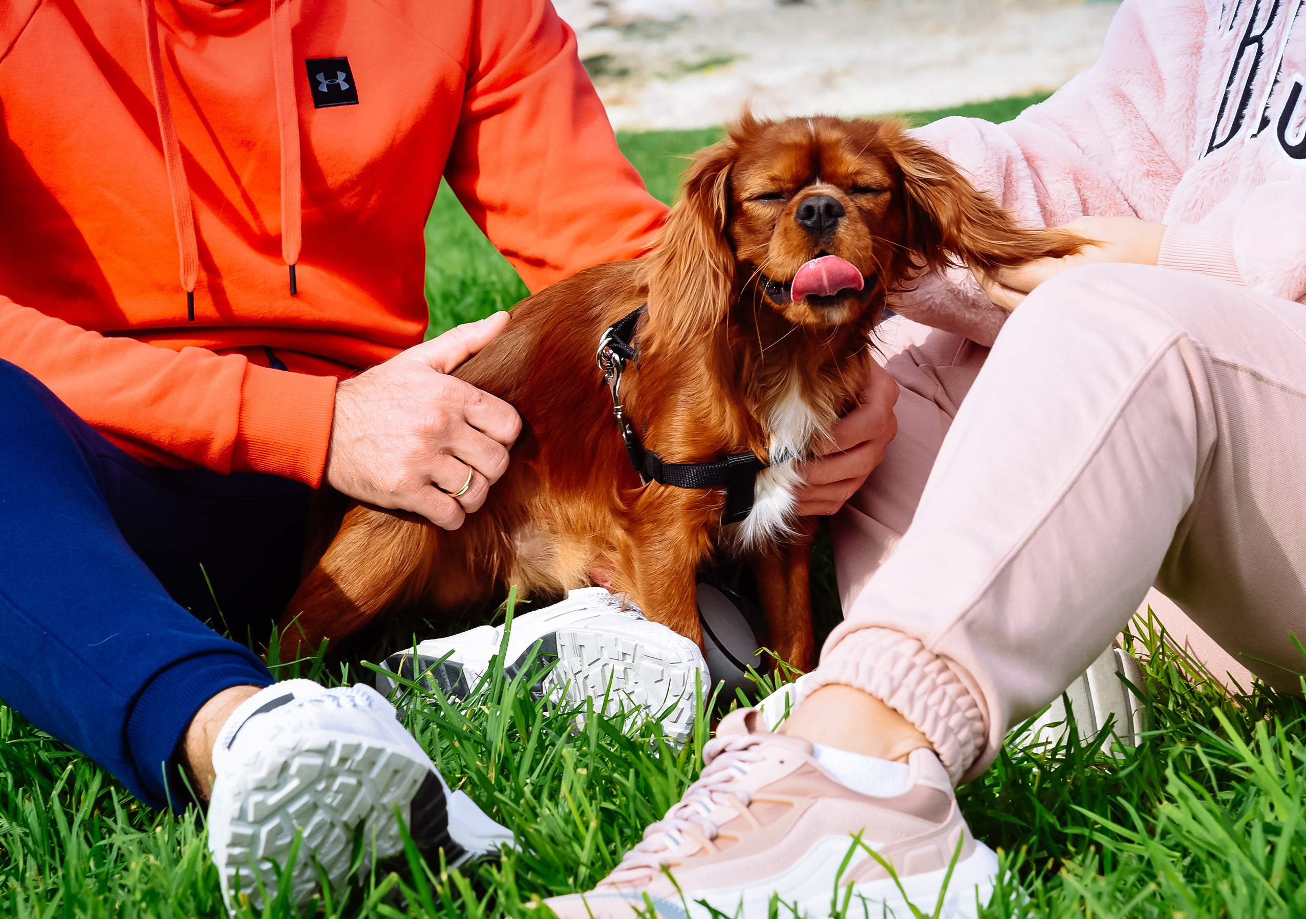 Двое и собака. Свадебный и семейный фотограф