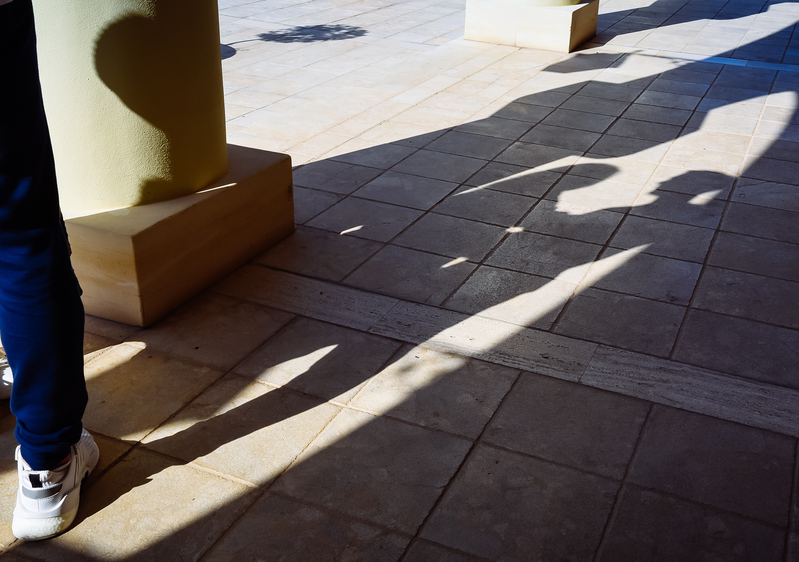 Двое и собака. Свадебный и семейный фотограф