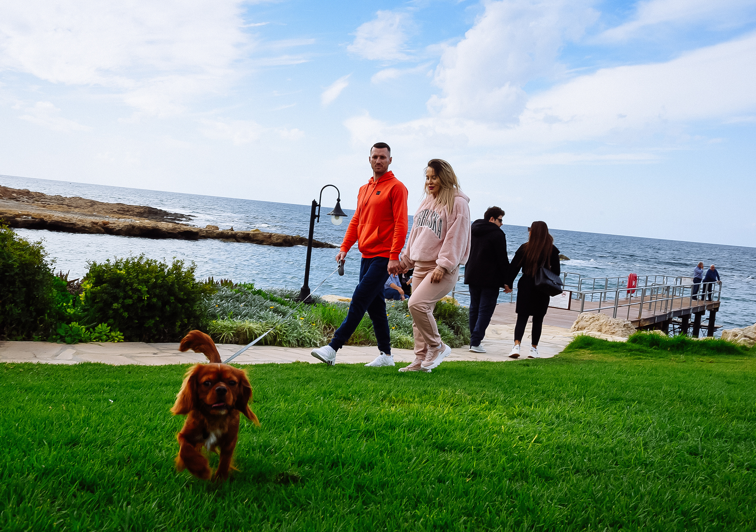 Двое и собака. Свадебный и семейный фотограф