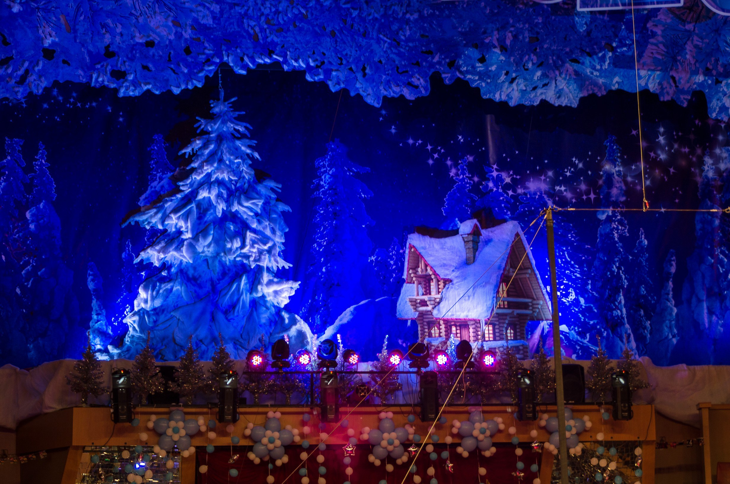 Цирк. Фотограф в РФ и ЛНР Юлия Федосеева