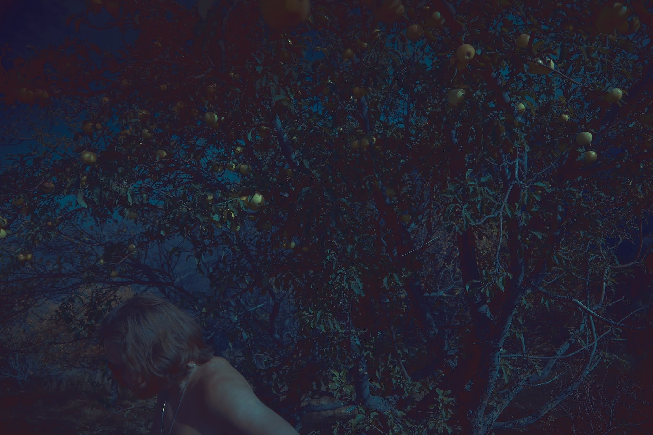 Яблоко. Катерина Малама арт-фотограф