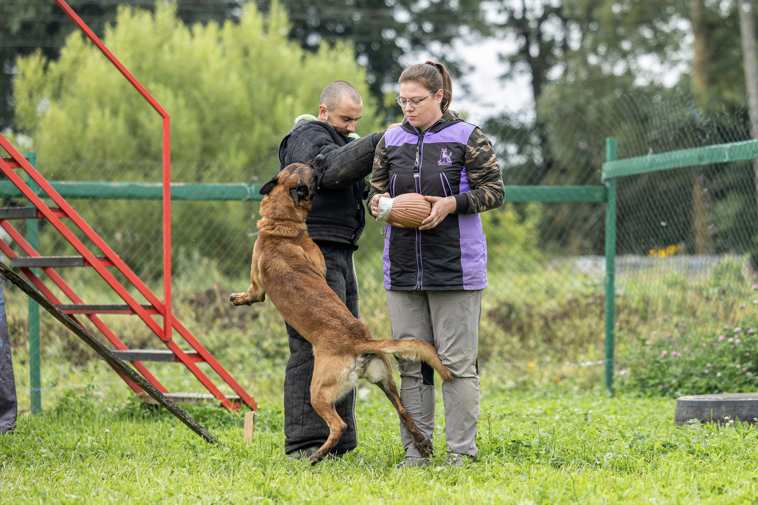 Соревнования по Мондьорингу г. Вологда 10-11.08.2024. Фотограф-анималист Анна Маринич