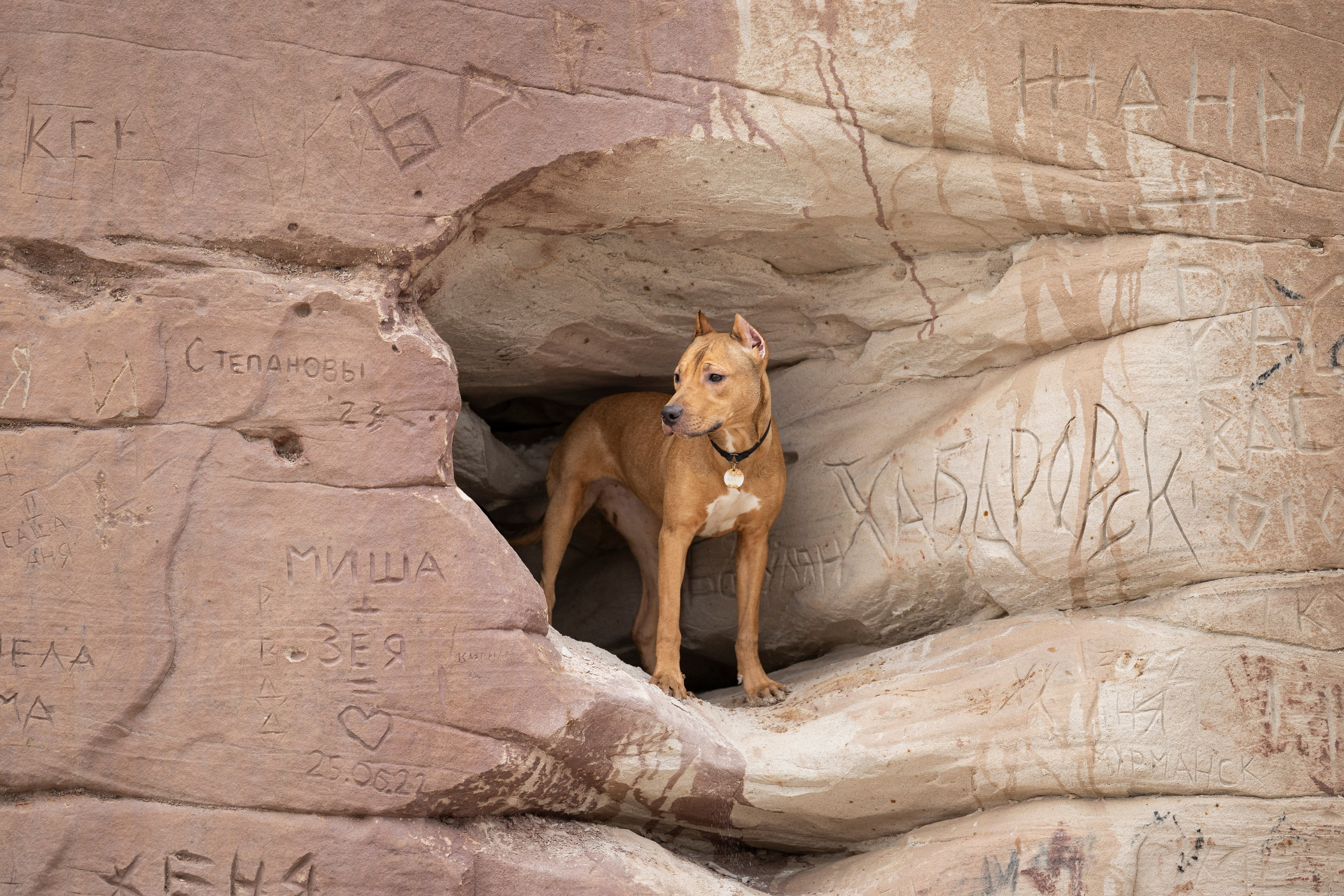 Лужские Мальдивы. Фотограф-анималист Анна Маринич