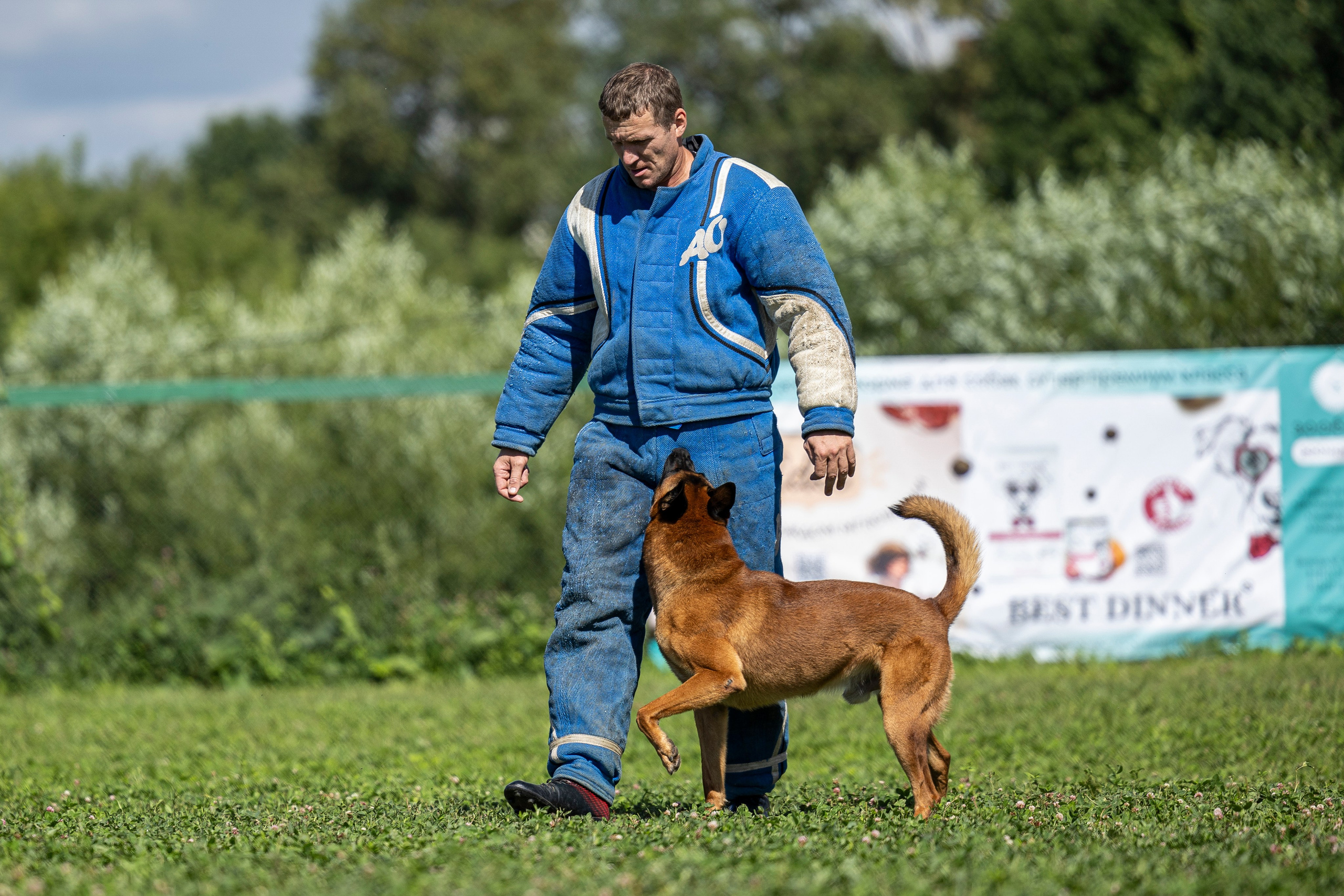 Соревнования по Мондьорингу г. Вологда 10-11.08.2024. Фотограф-анималист Анна Маринич