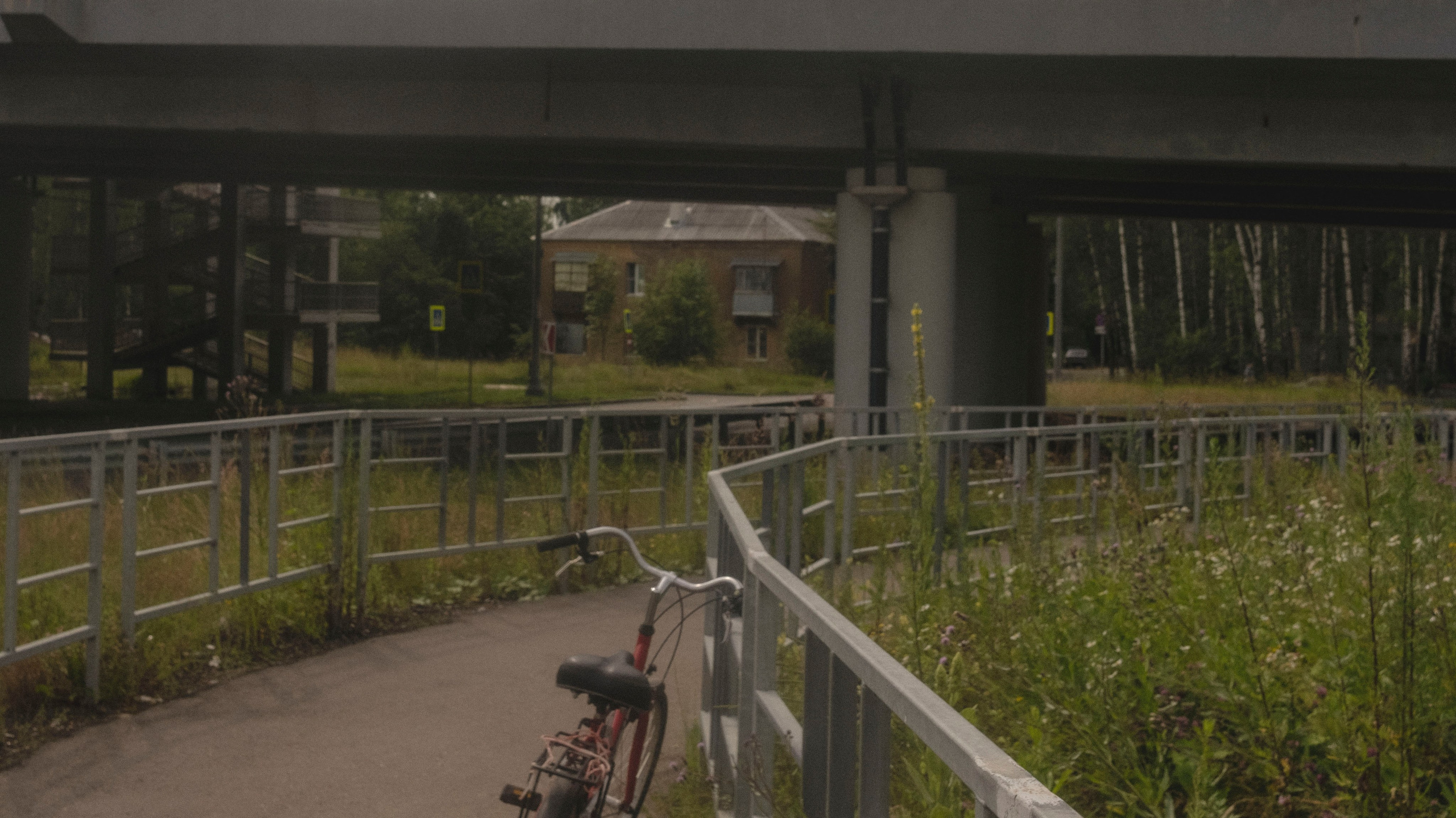 Дача, 2020. Портретный фотограф в Москве Евгения Яковенко