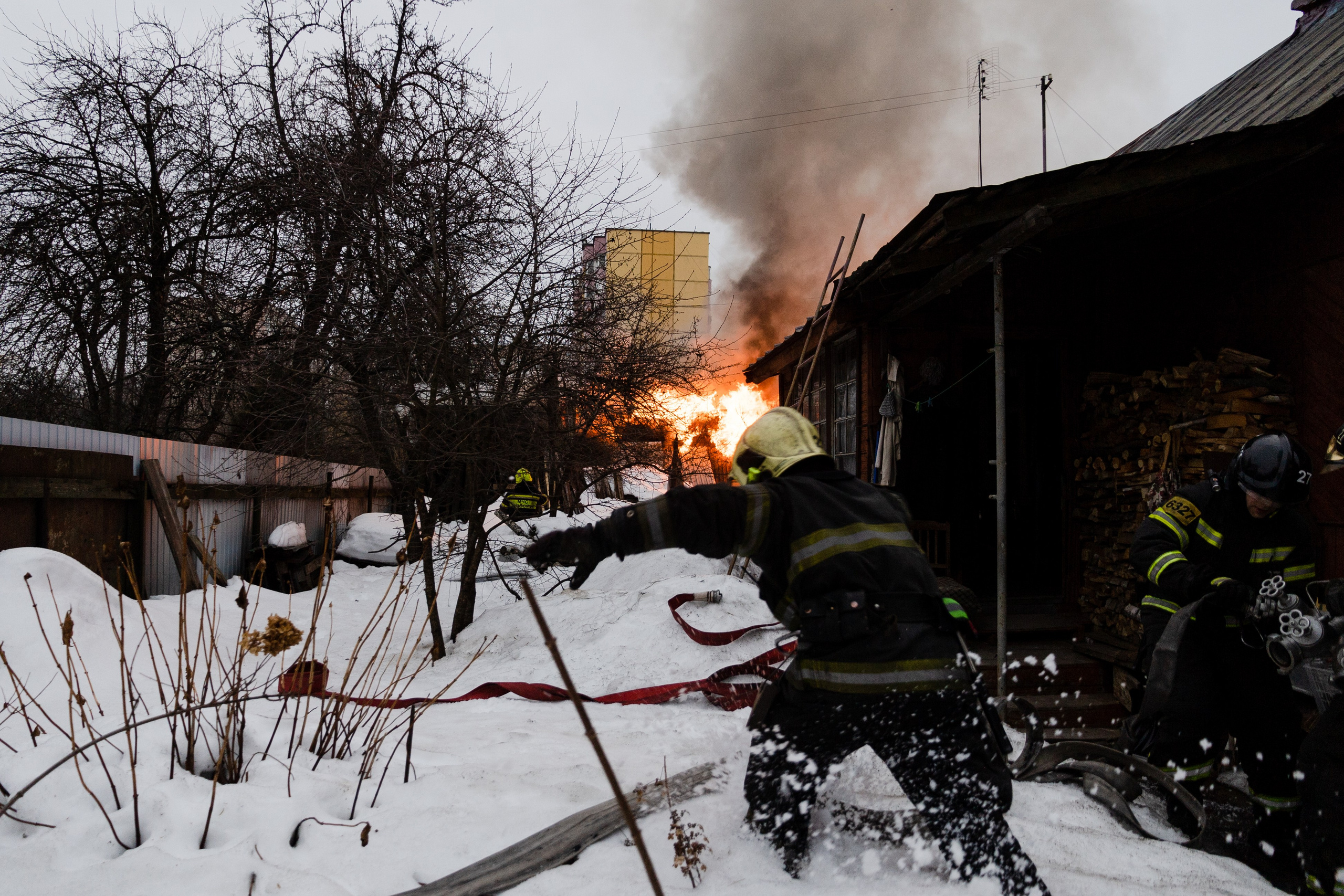 Часть. DASHA KALNINA