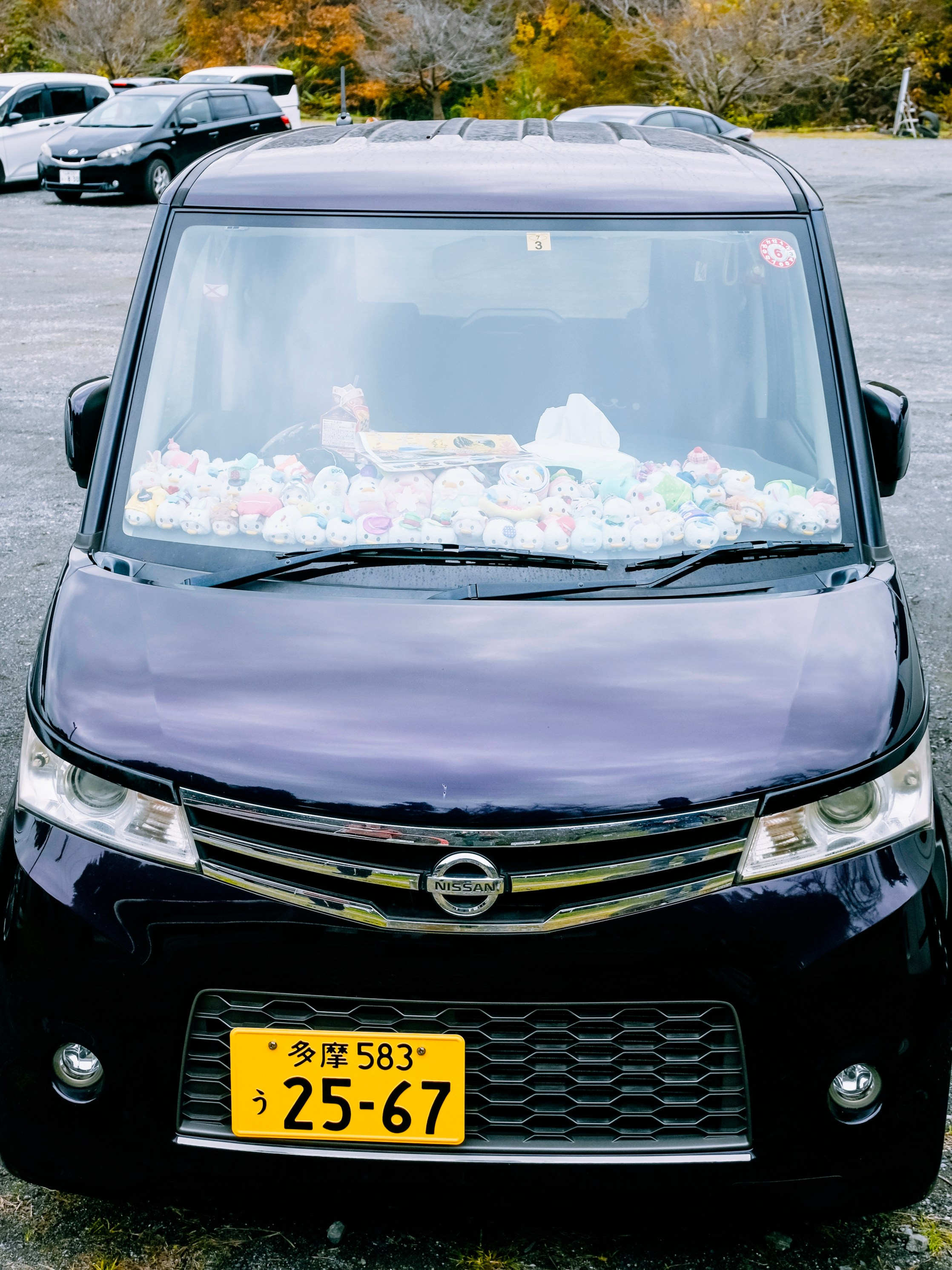 Japan village street. Iraogo