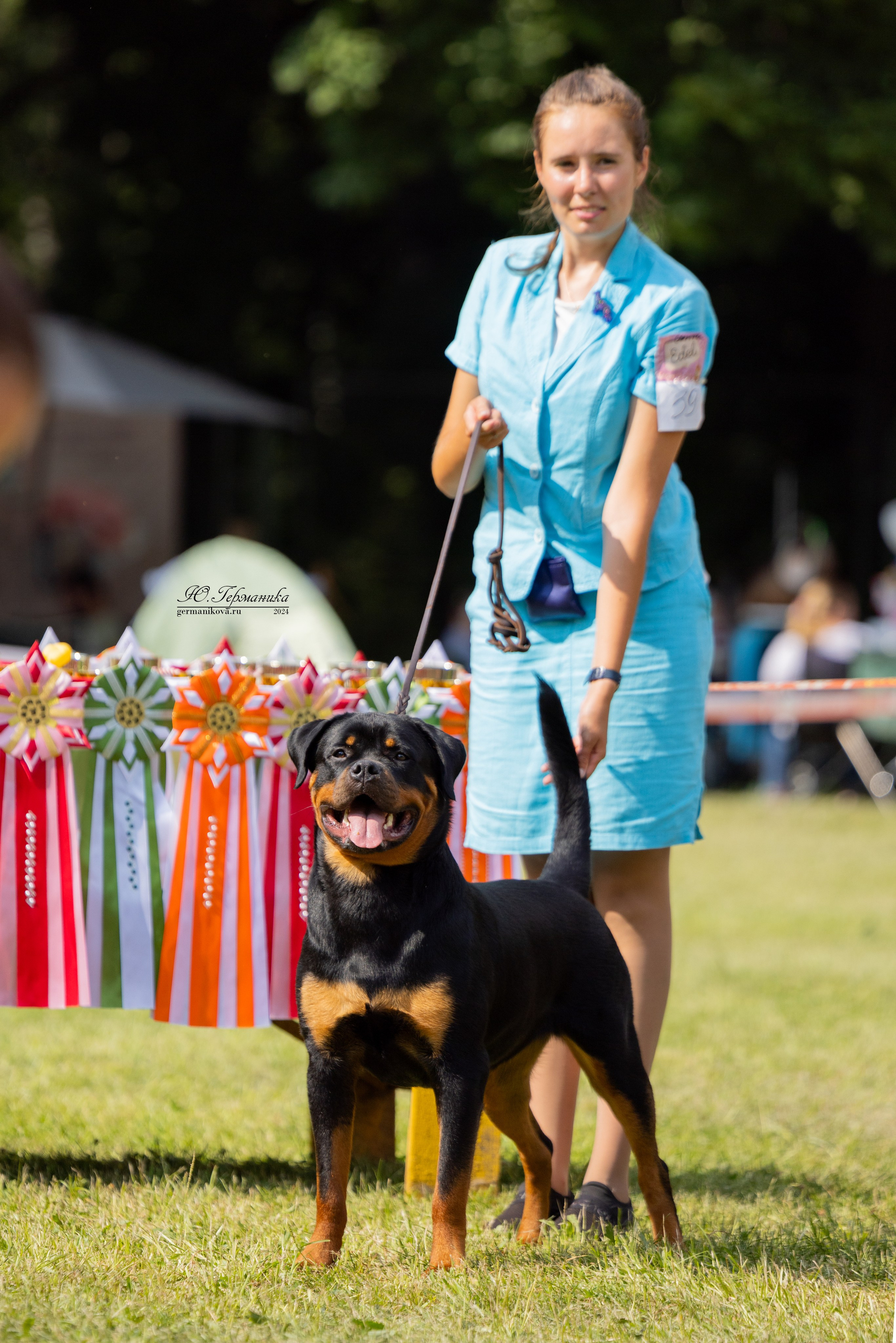 Ярославль 21.07.24 и Балашиха 13.07.24. Фотограф-анималист Юлия Германика