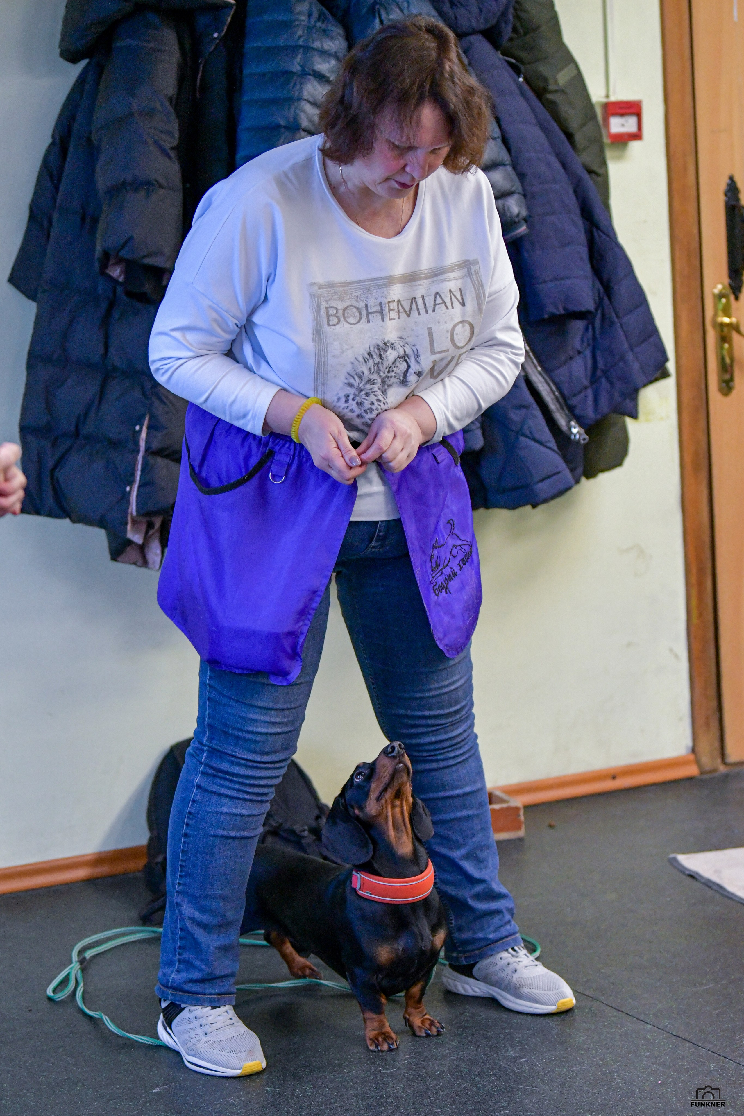 Кинологический клуб «Бодрый хвост». Свой взгляд через объектив