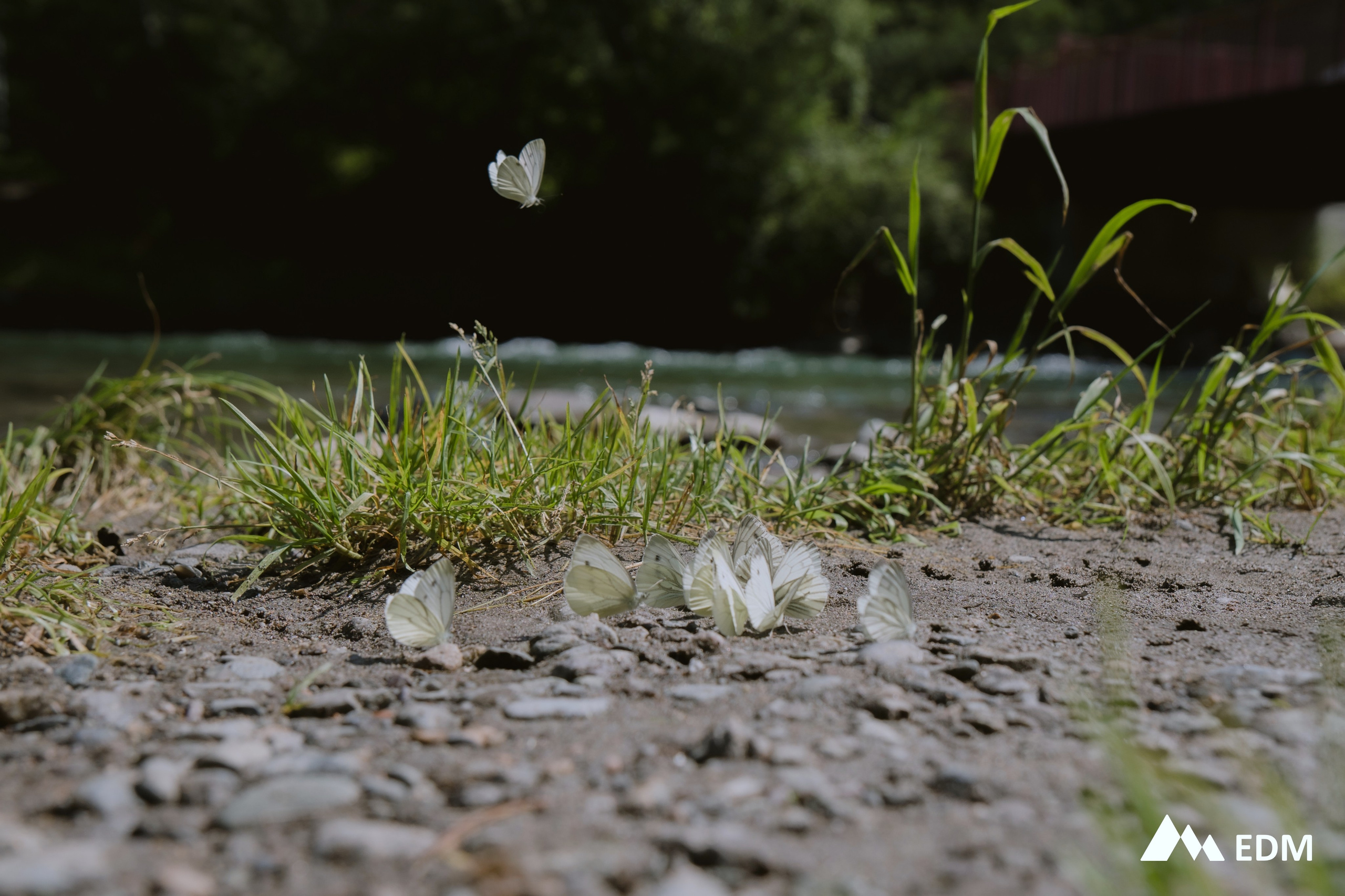 Международная конференция EDM. Фотограф Новосибирск Вероника Вишневская