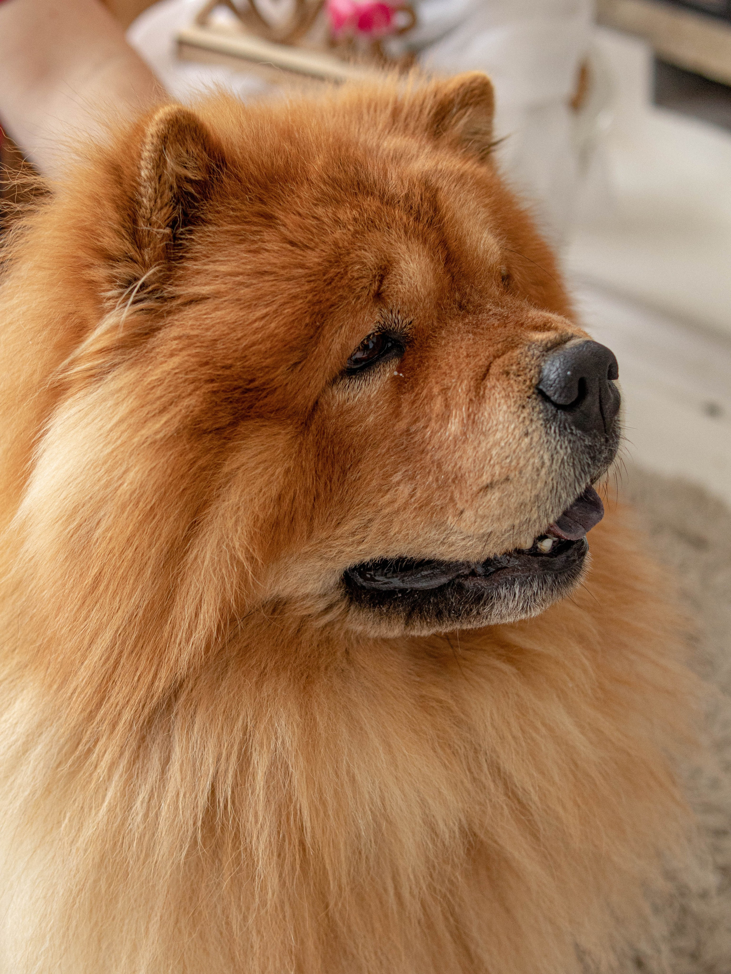 Семья. Фотограф в Екатеринбурге Елизарова Юлия