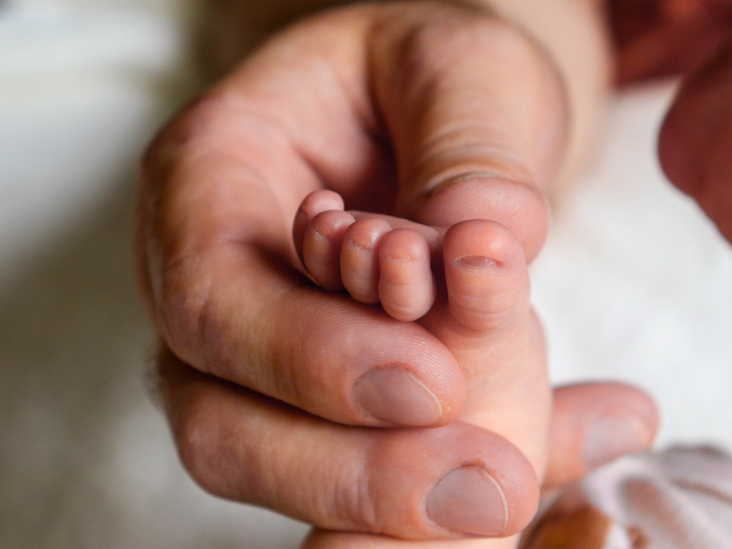 Семейная фотосессия дома. Фотограф Саратов | Елизавета Белова