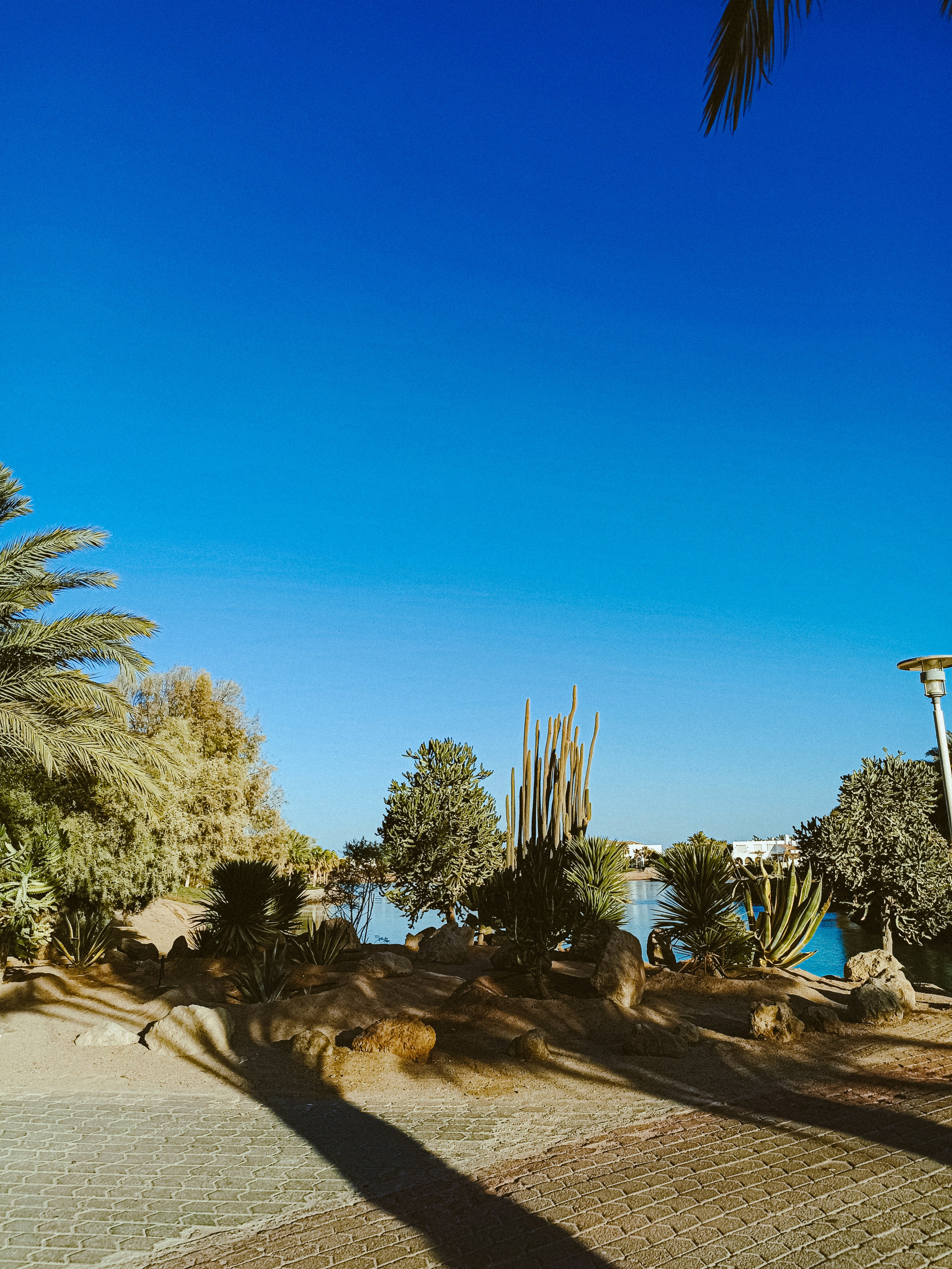 Мобильная. Jorgis — фотограф в Хургаде / обучение фотографии