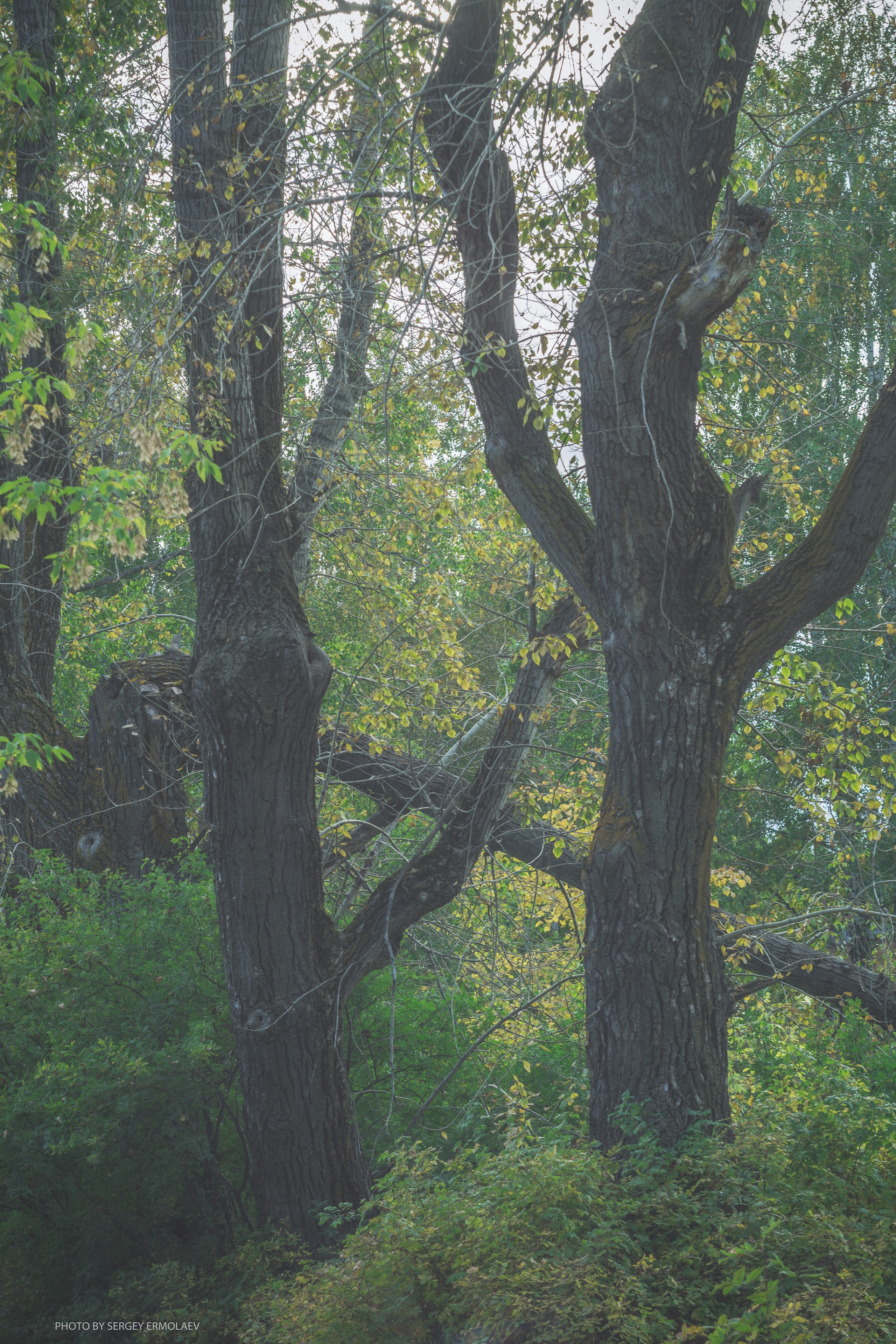 На тропах старинного парка