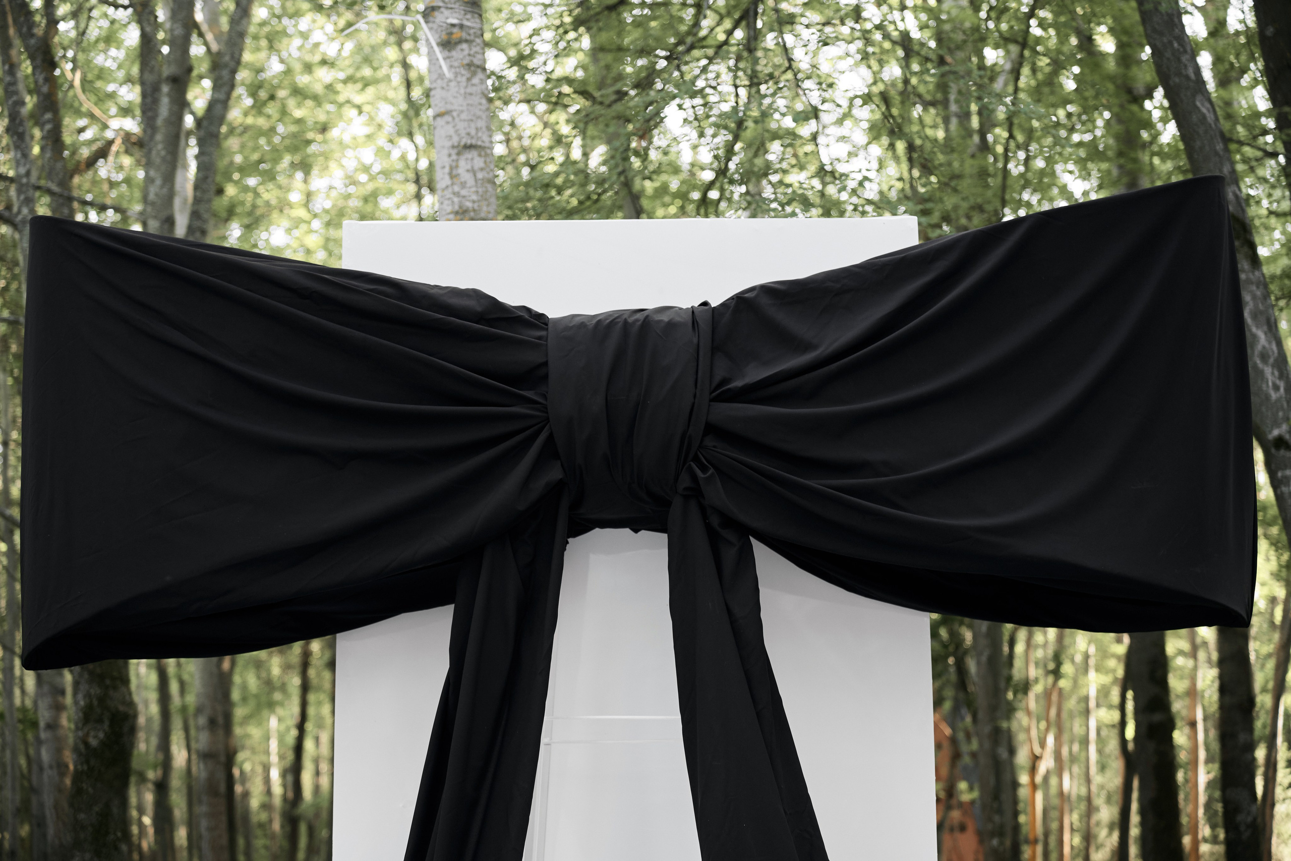 Елена & Александр. Фотограф Михаил Ефремов