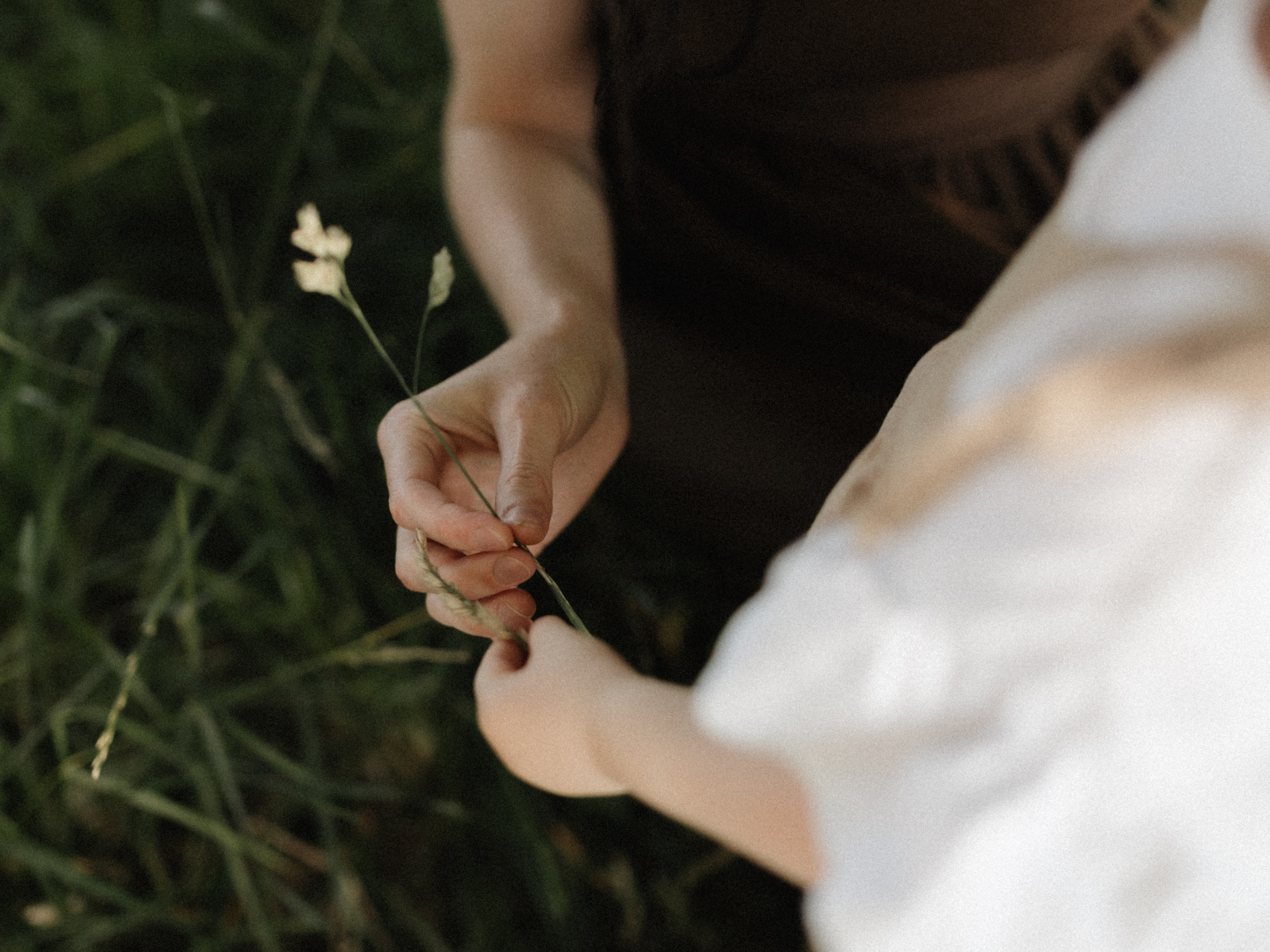 ♡. Фотограф во Владимире, Москве и Суздале-Виктория Чистякова