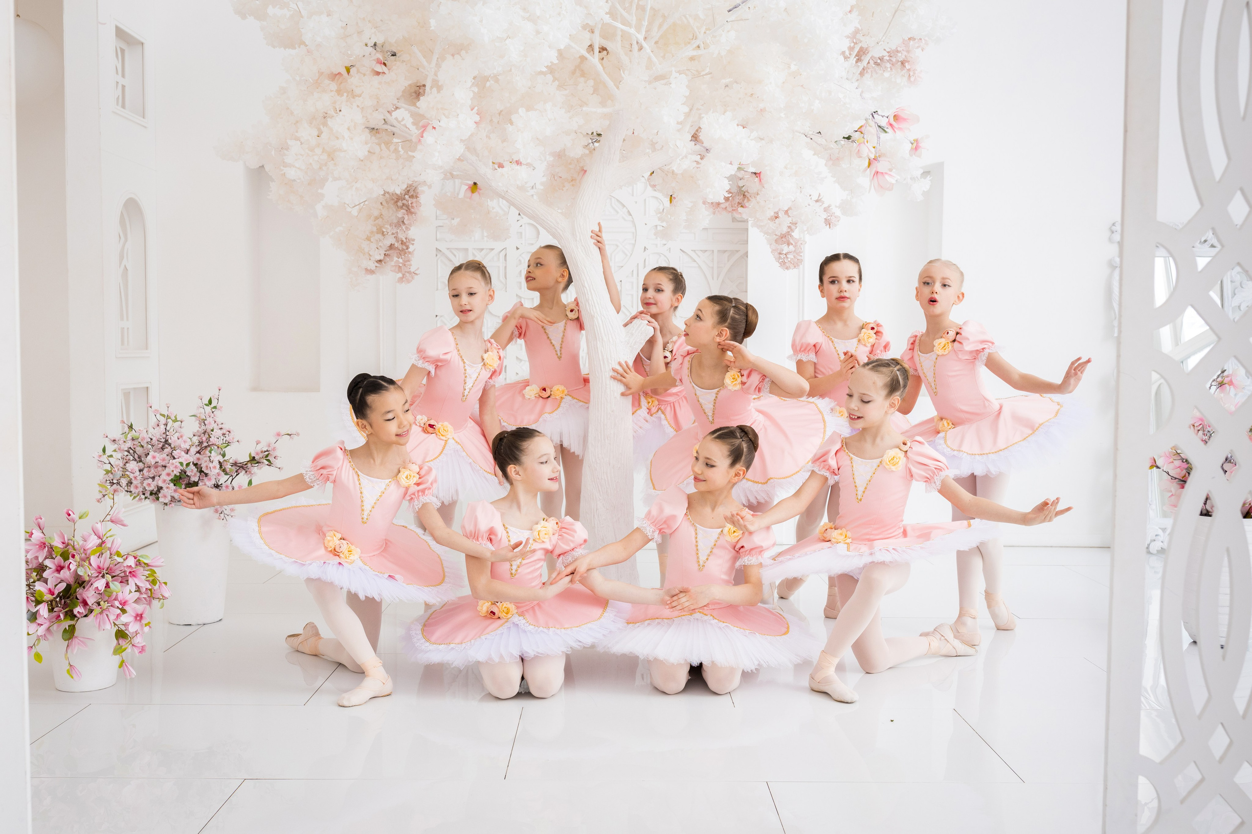 Коллективная фотосъёмка. Балетный фотограф Алина Ханько — Душа Балета