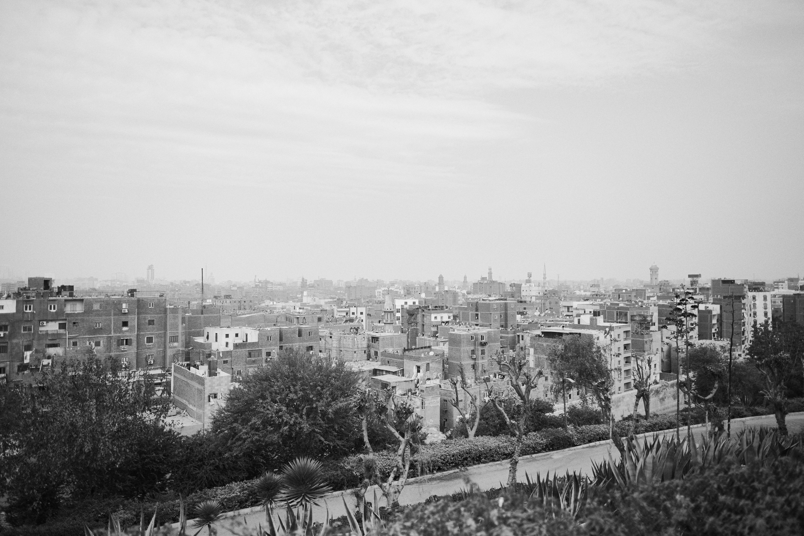 Другое 4. Jorgis — фотограф в Хургаде / обучение фотографии