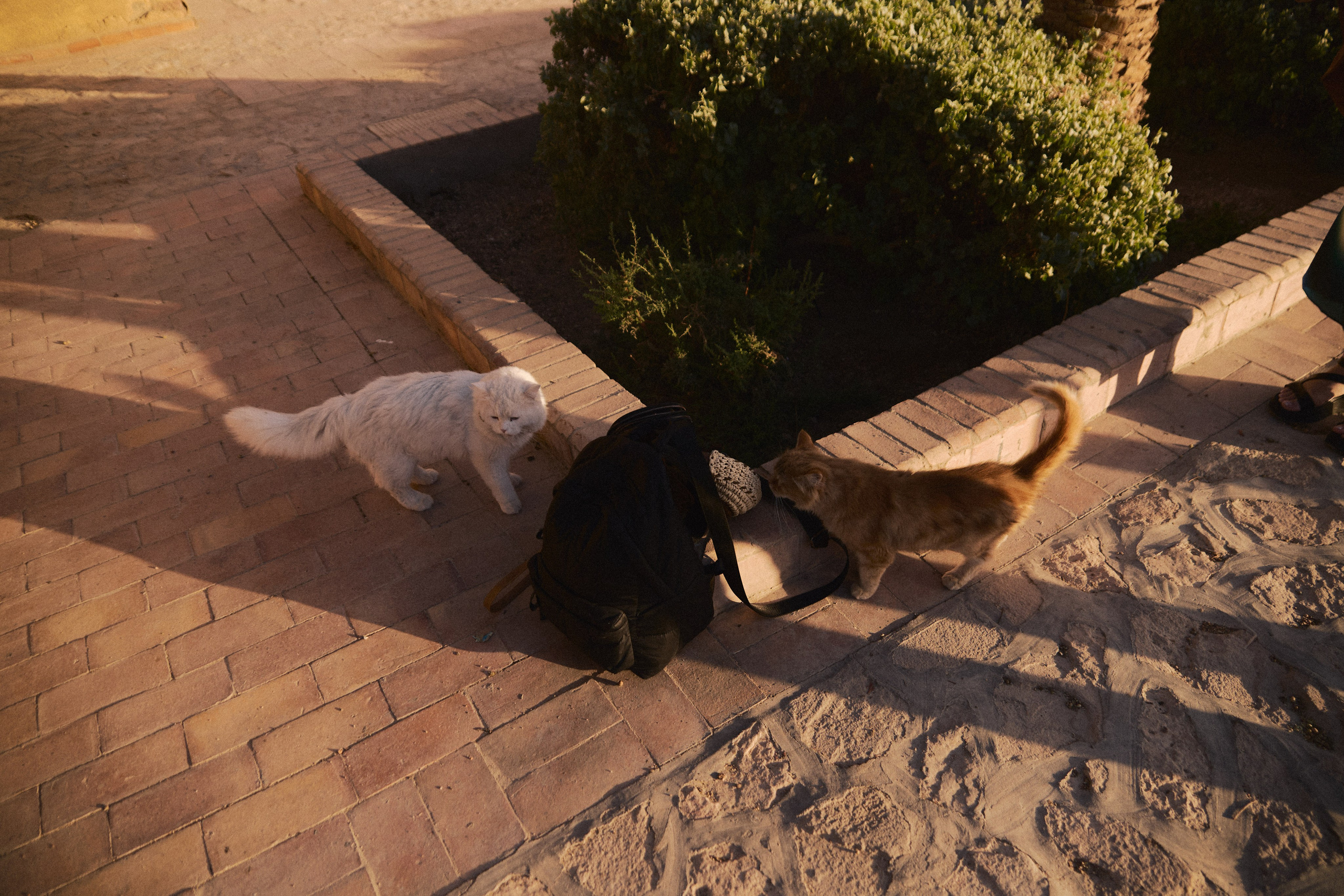 Улица горизонтальная. Jorgis — фотограф в Хургаде / обучение фотографии