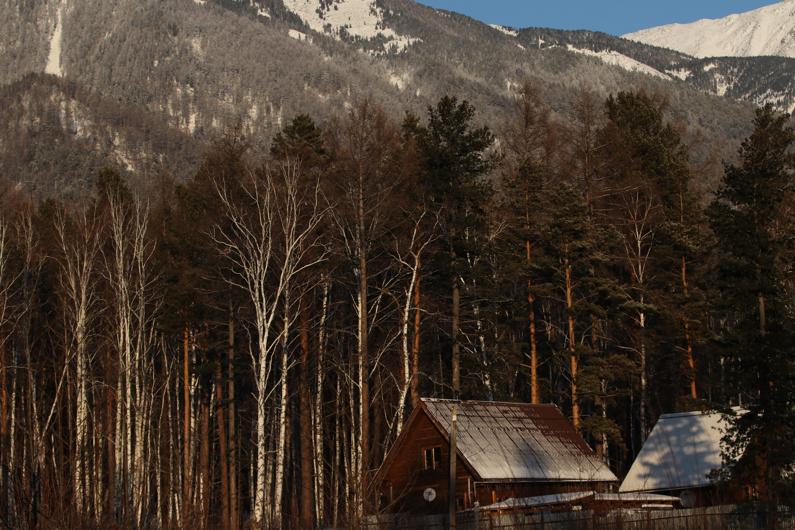 Аршан. Январь 2024. Путешественник-фотограф из Санкт-Петербурга Татьяна Свистулина