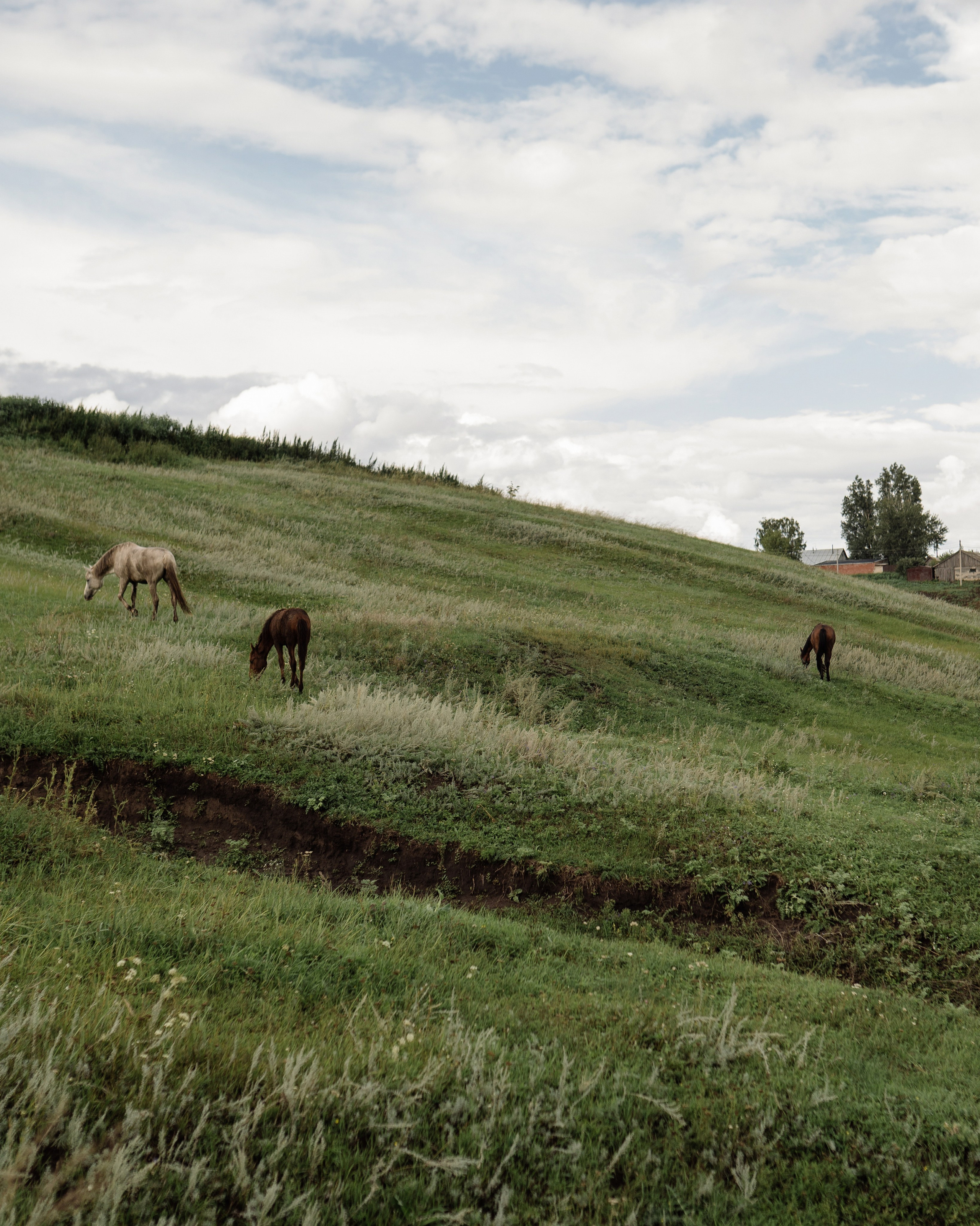 Vlasenko. Свадебный фотограф Тольятти Москва Адамова Виктория