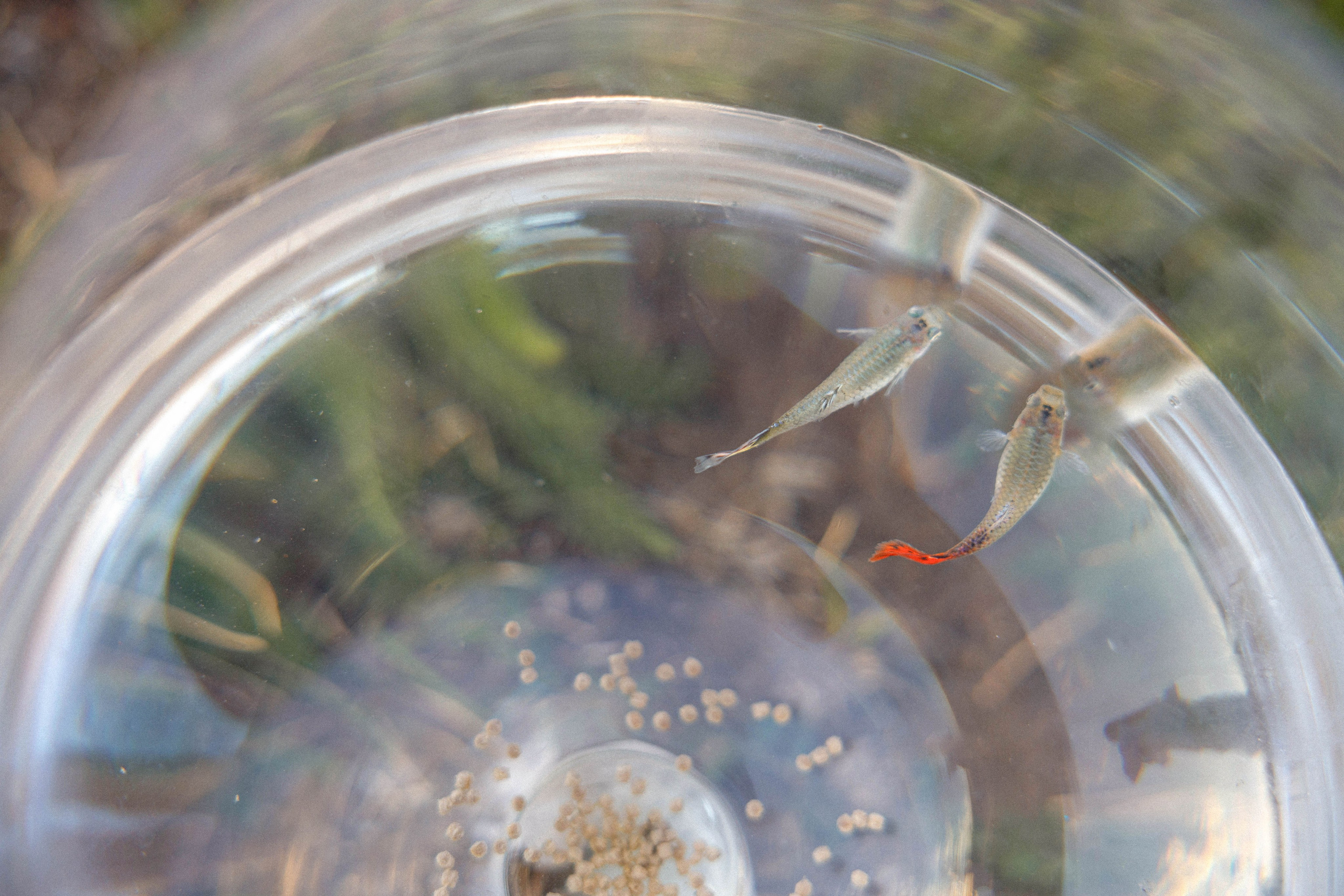 LOVE STORY. Свадебный, репортажный, фотограф Москва и Московская область