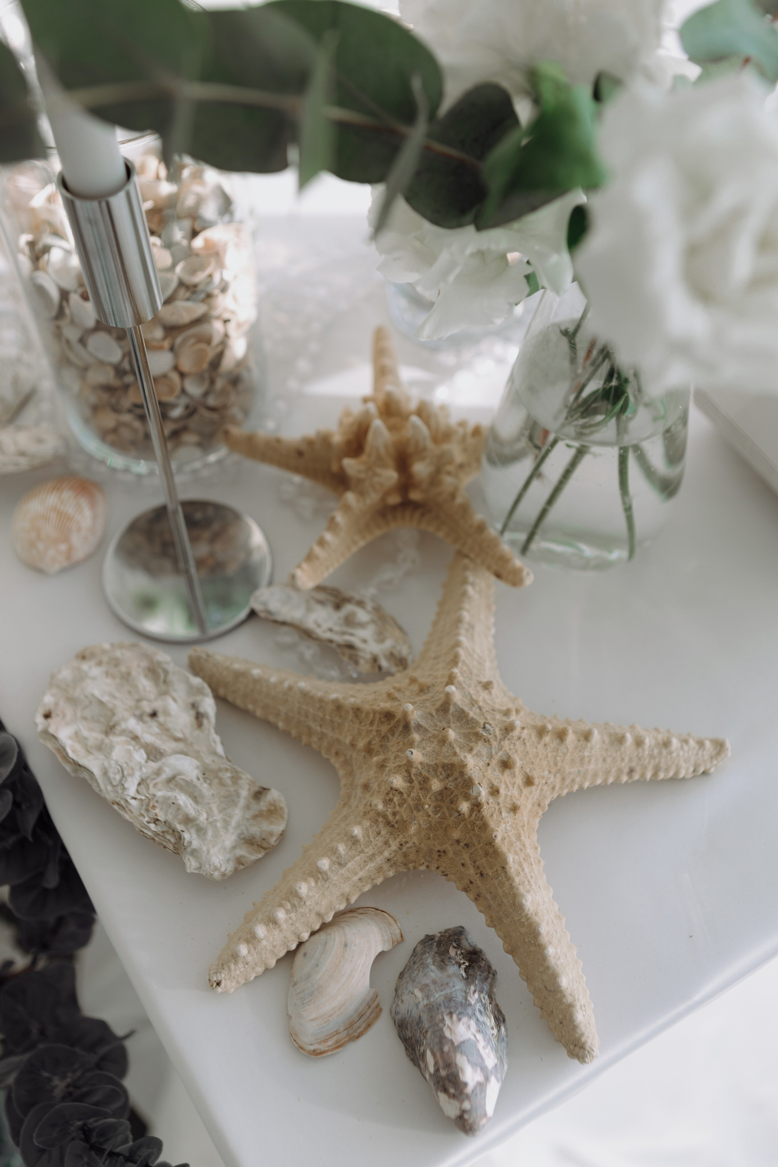 Михаил и Татьяна. Свадебный фотограф Алина Поддубная