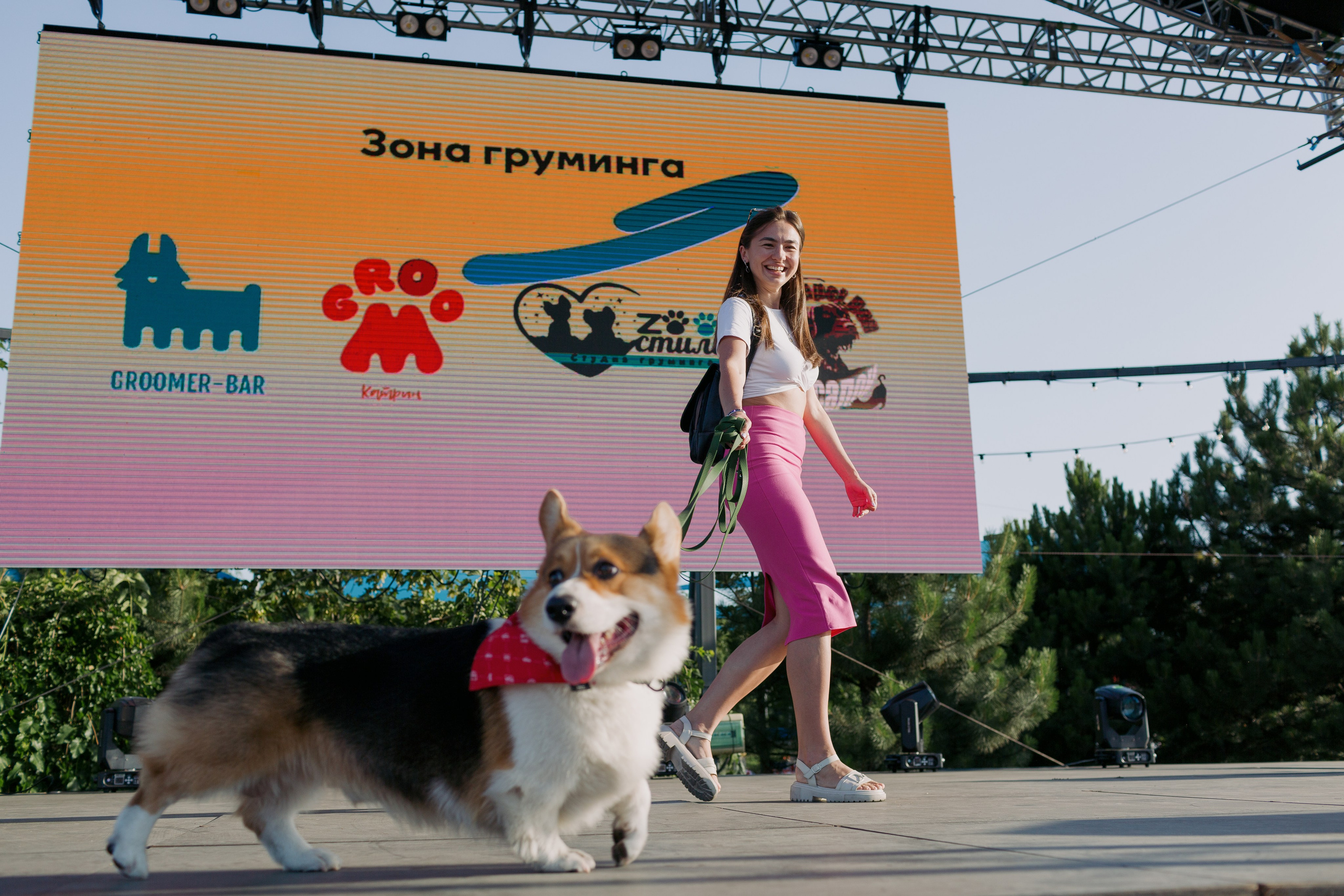 Dog Fest 2024. Главная