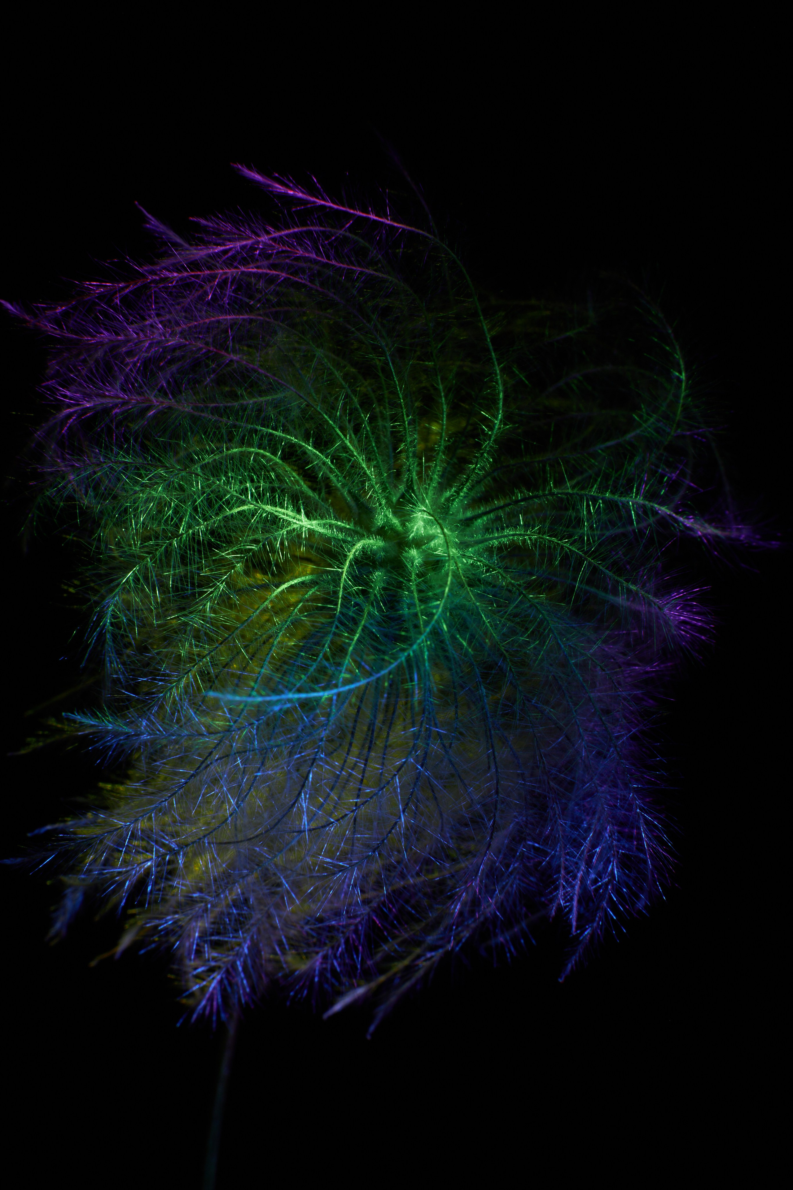 «Красок Тьма Полна». Арт-фотограф во Владивостоке Дмитрий Осипчук