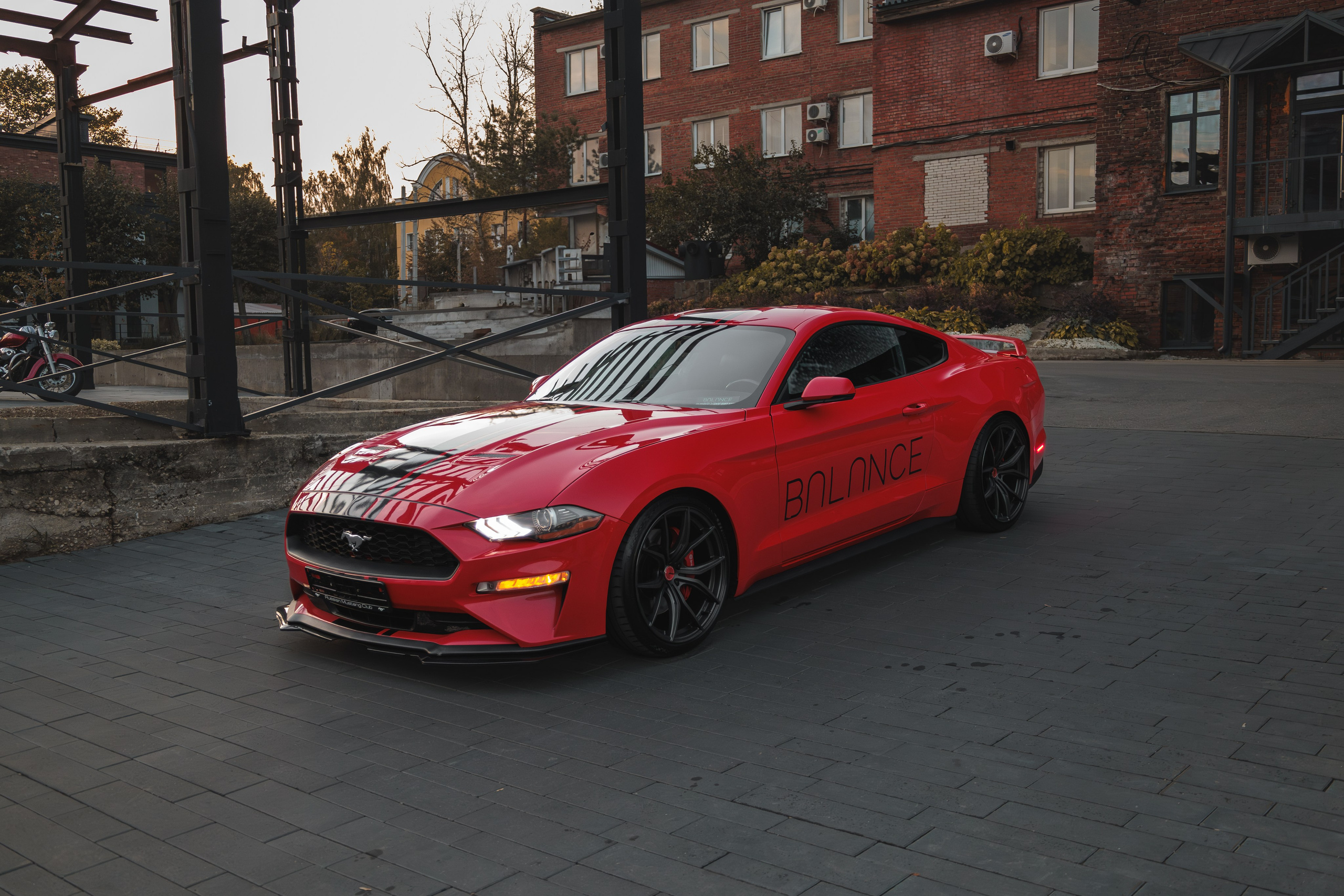 Mustang. Мелехов Дмитрий|Фотограф|Видеограф