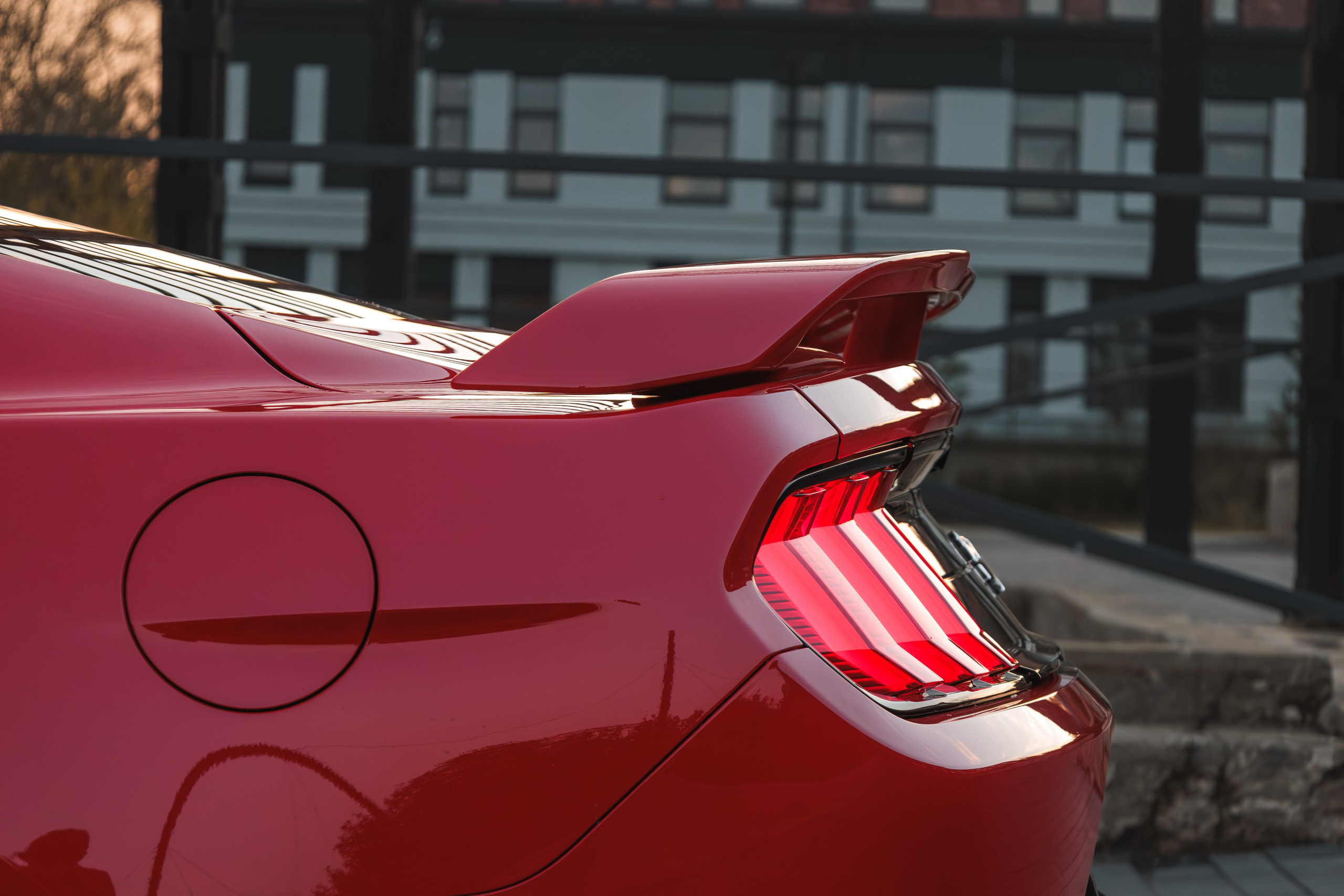 Mustang. Мелехов Дмитрий|Фотограф|Видеограф