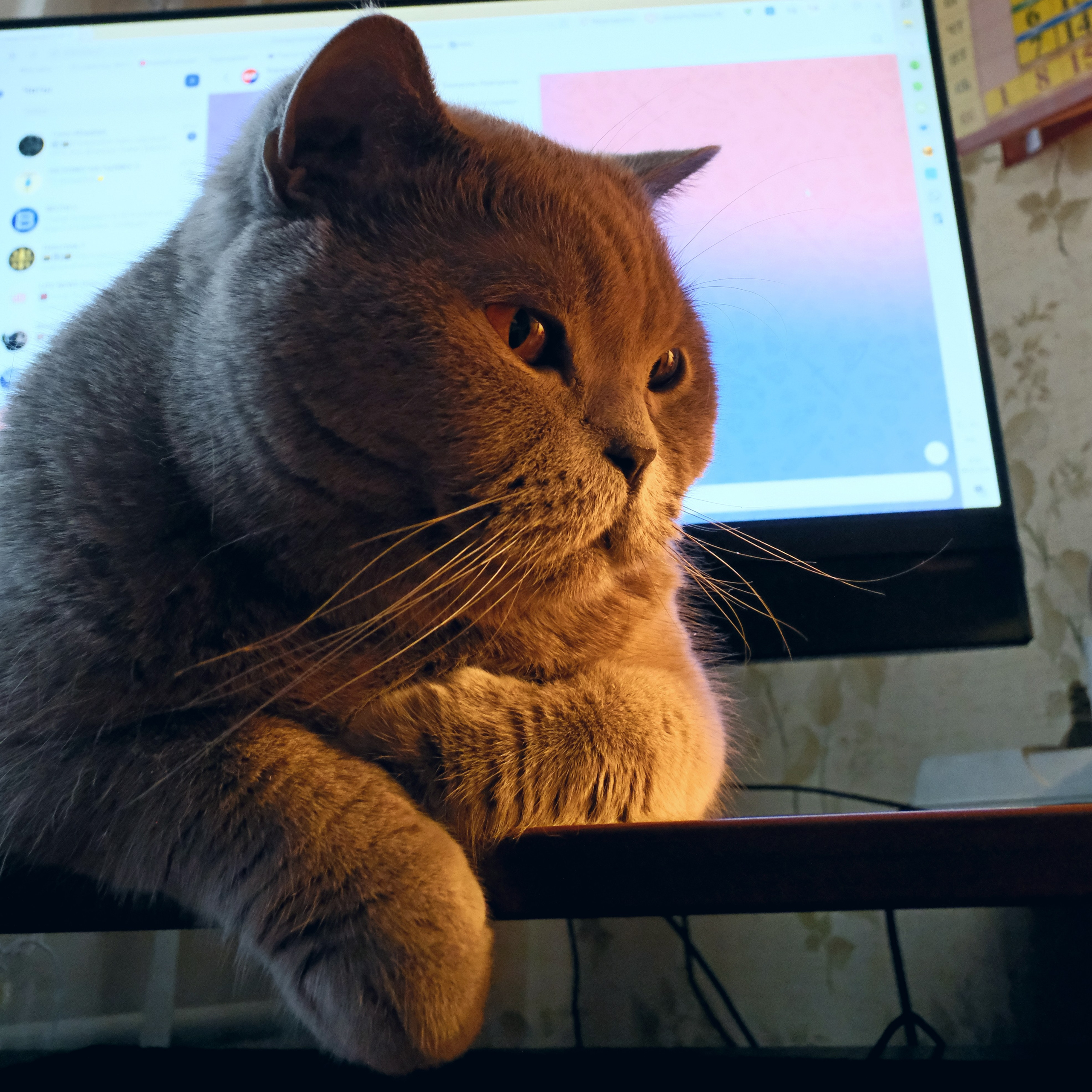 Улица, люди, жизнь…