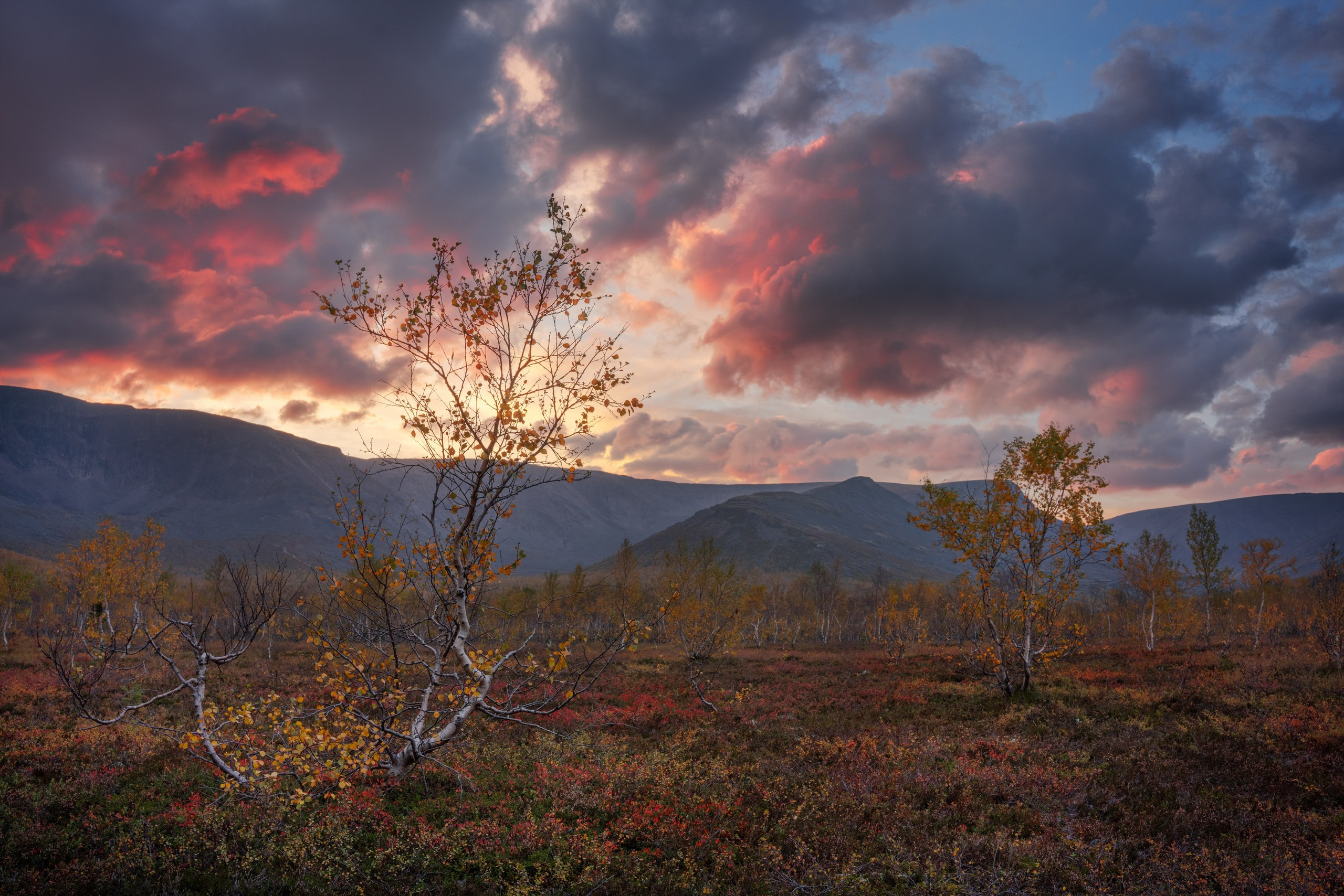 Кольский. Карелия. Фотограф в Красноярске Нерозя Александр. Пейзаж, природа, портрет
