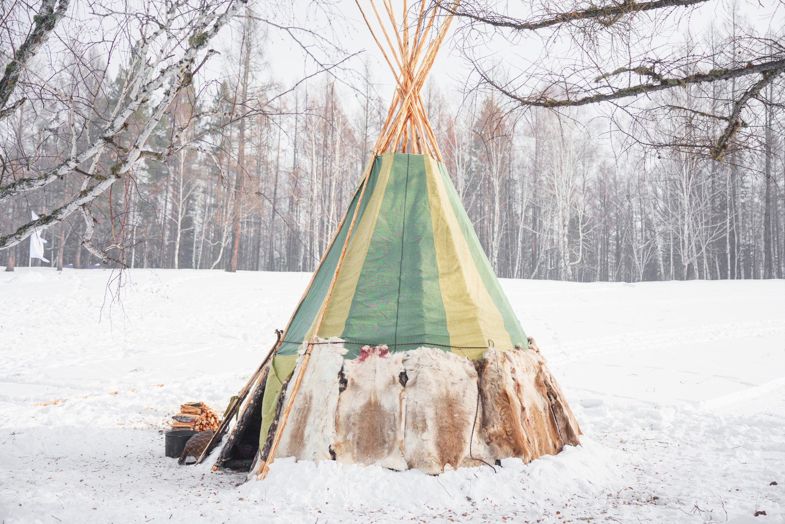 В олене жизнь. Фотограф в Красноярске Нерозя Александр. Пейзаж, природа, портрет
