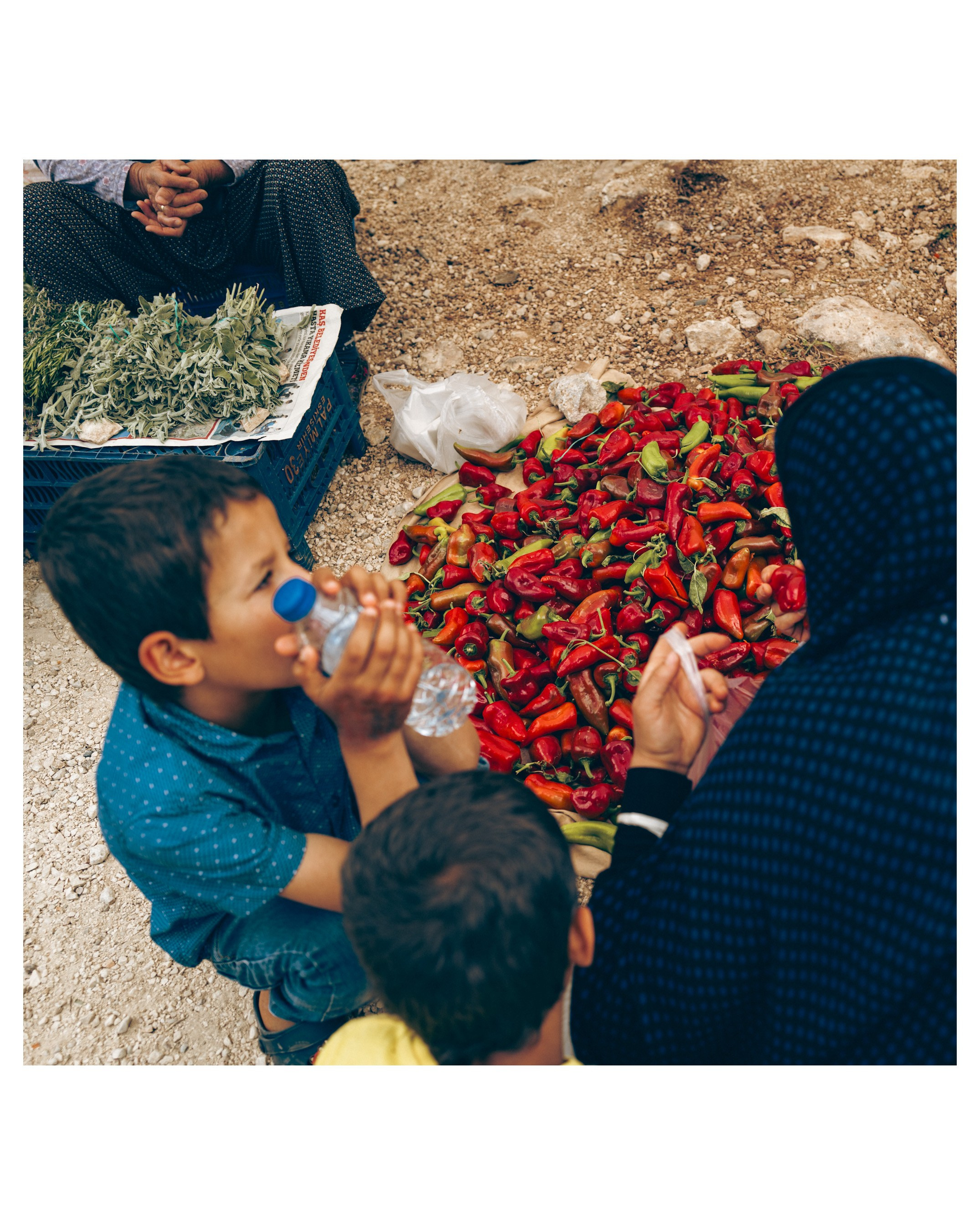 Street. Если ты на Земле — звони