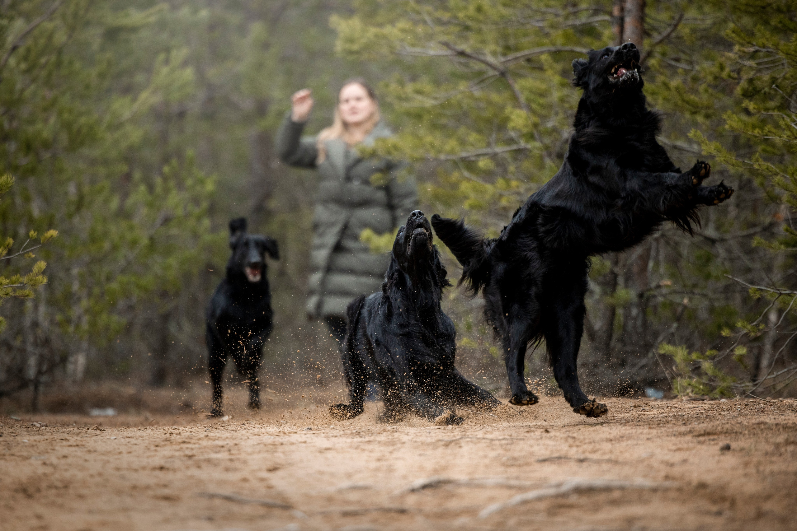Ора, Ева, Рози и их семья. Фотограф — Анималист | Санкт-Петербург