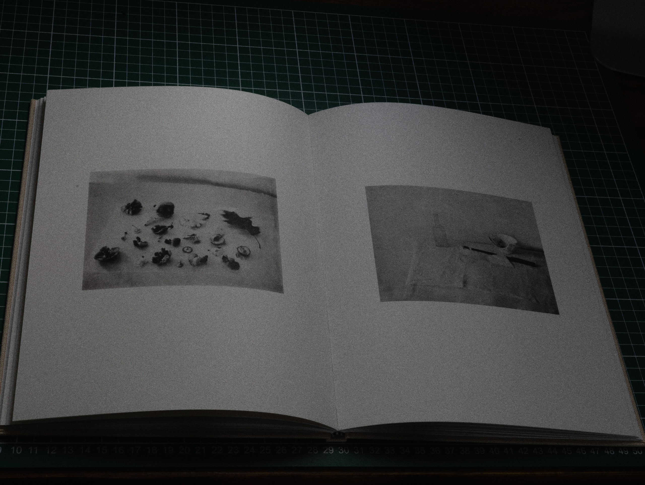 Фотокнижная библиотека Светы Кавериной. Фотограф и исследователь фотографии из Санкт-Петербурга Елизавета Веприцкая