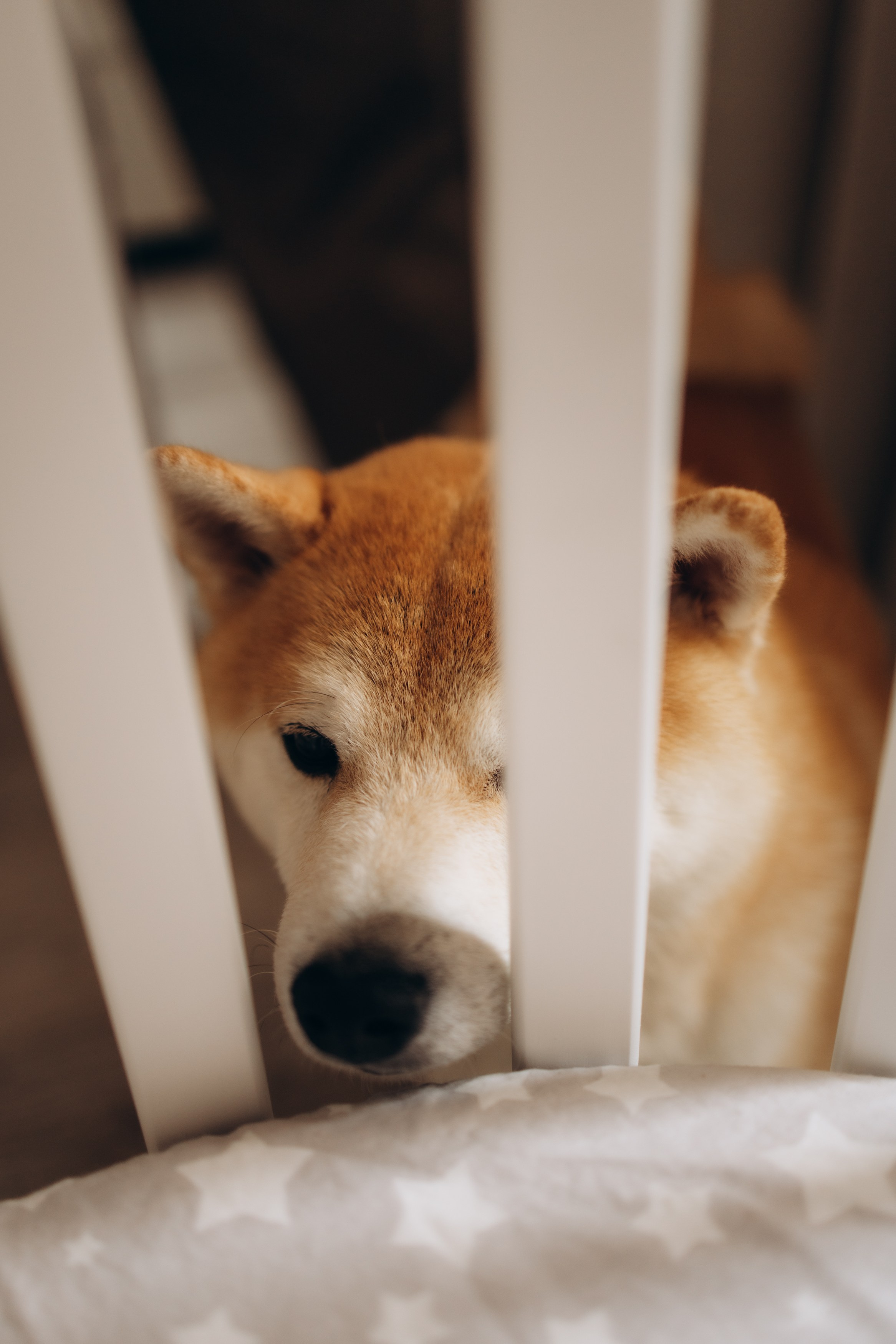 Малышка Луна. Семейный, ньюборн newborn фотограф, фотограф новорождённых в Санкт-Петербурге, Пушкине, Павловске. Павлова Анастасия