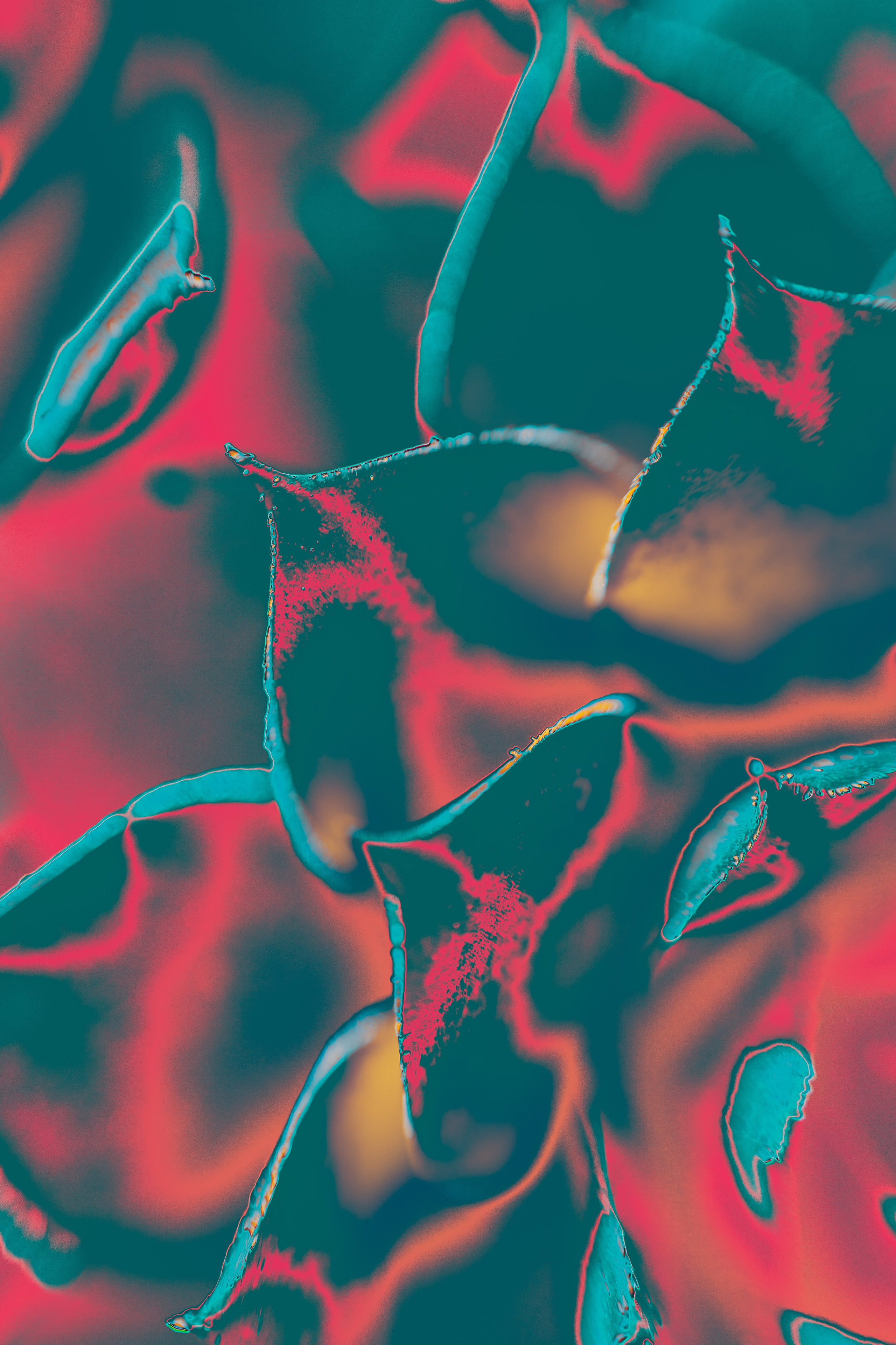 NON-EXISTENT FLOWERS. Фотограф Евгений Чащихин RGB АРХИТЕКТОР в Перми