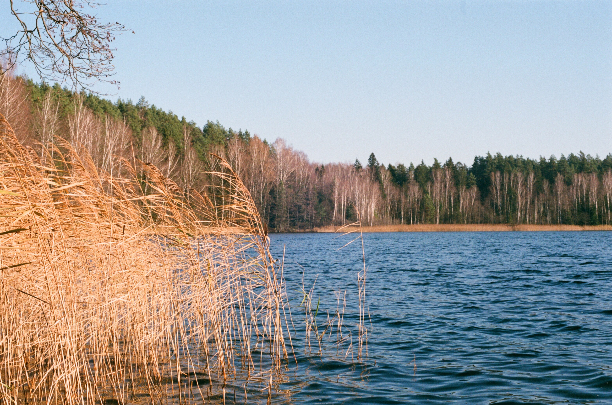 Творчество. Семейный и портретный фотограф в Минске Константин Менжинский