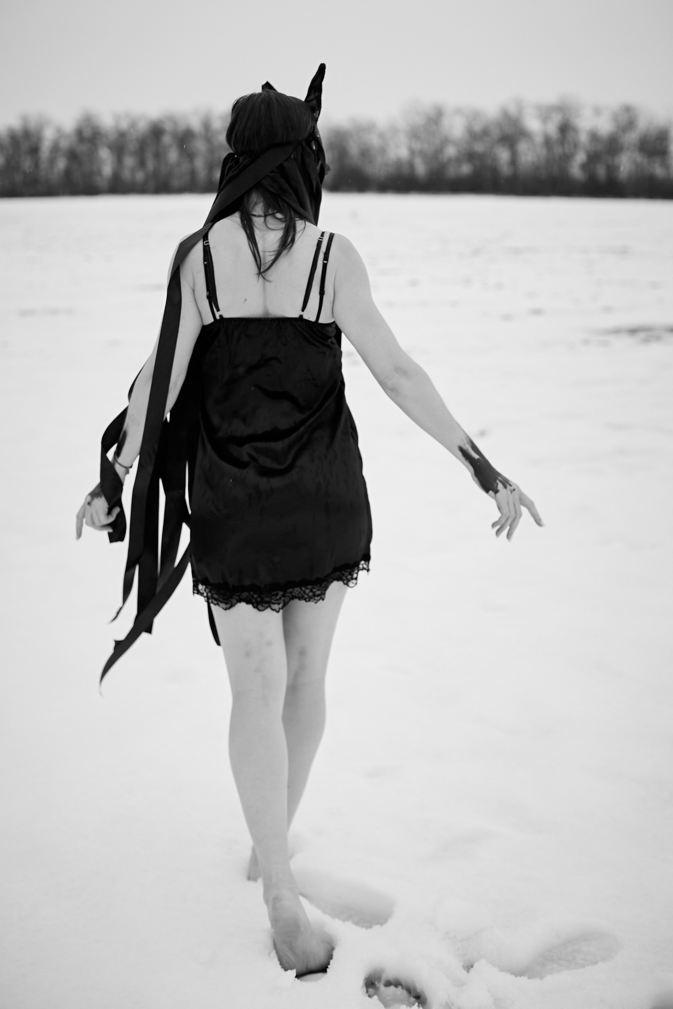 «Снежная волчица». Свадебный и креативный фотограф в ЮФО