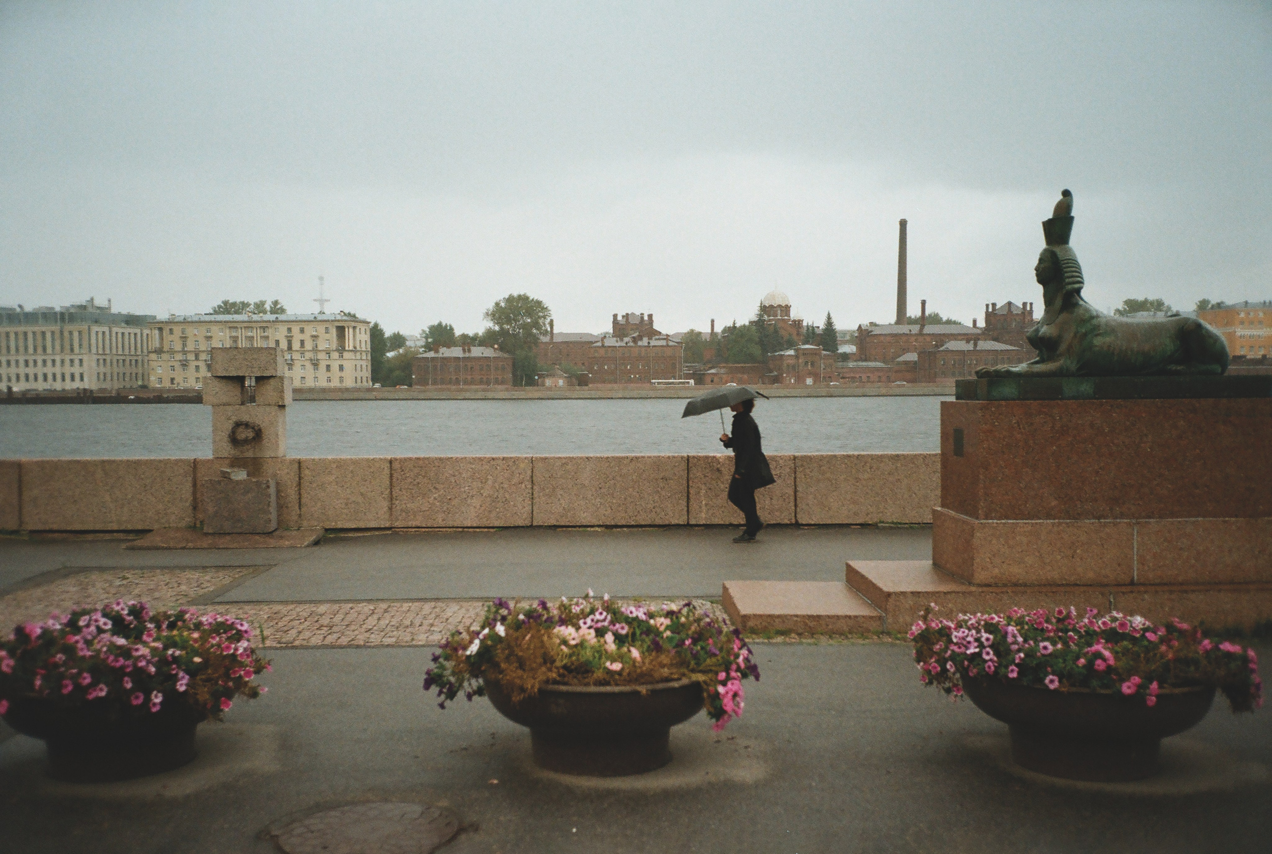 Фотографии цветные. Свадебный и семейный пленочный фотограф в Петербурге Истомина Ирина