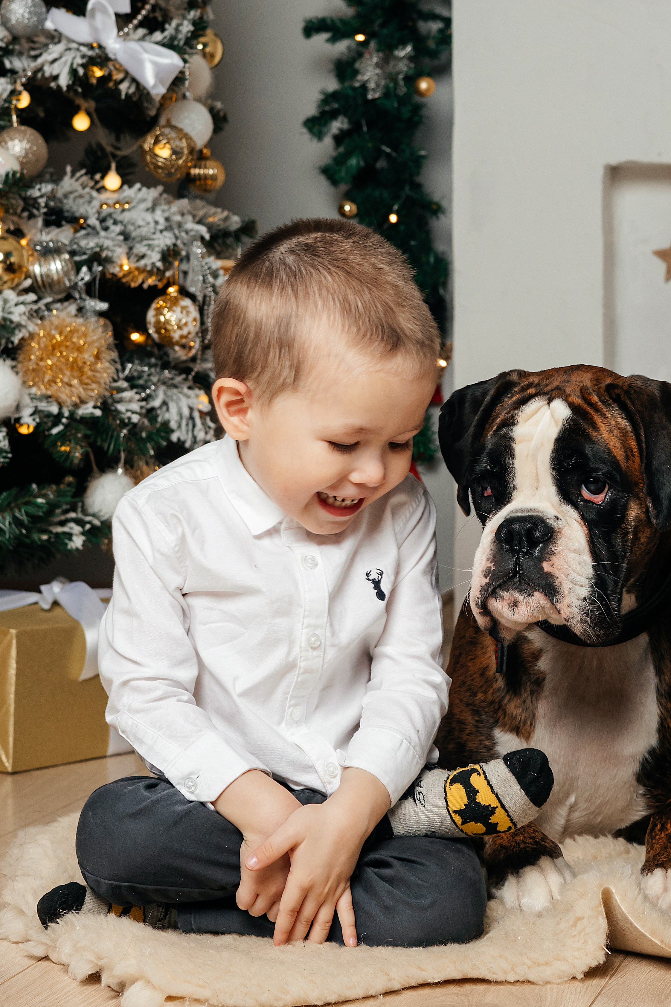 Новогодние. Фотограф Усинск|Татьяна Вараксина