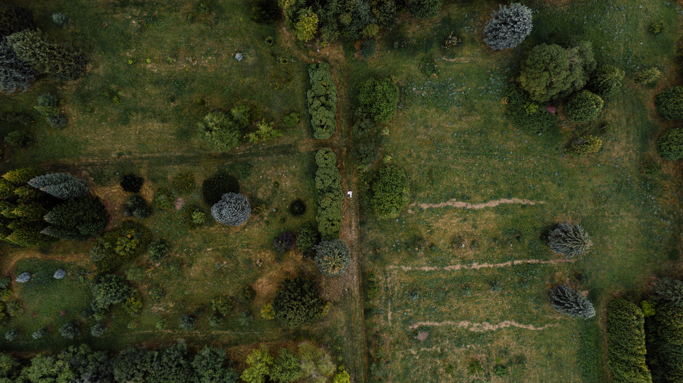 Фотограф Анна Руданова . Love story Кати и Саши. Аэросъемка