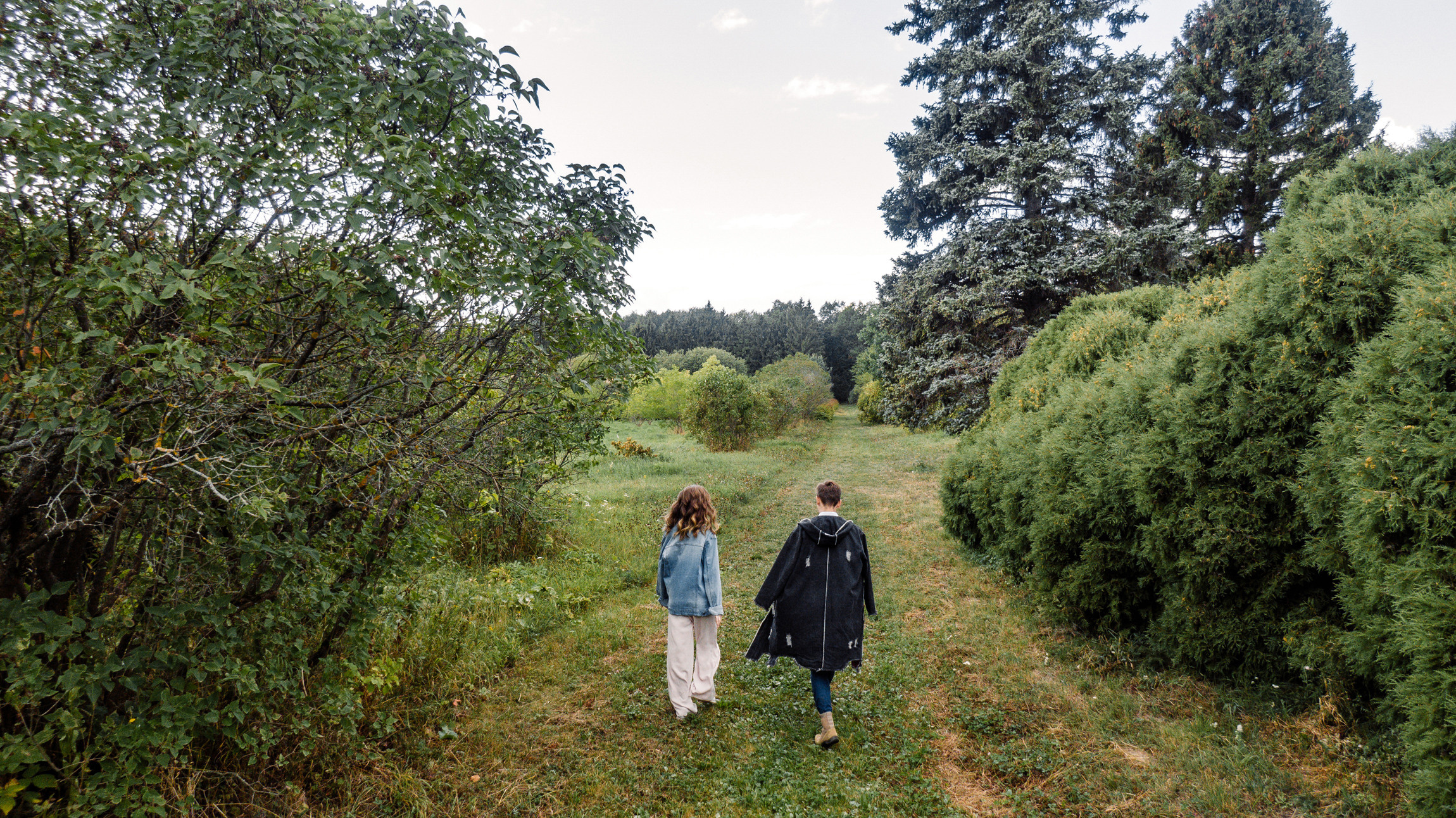 Фотограф Анна Руданова . Love story Кати и Саши. Аэросъемка