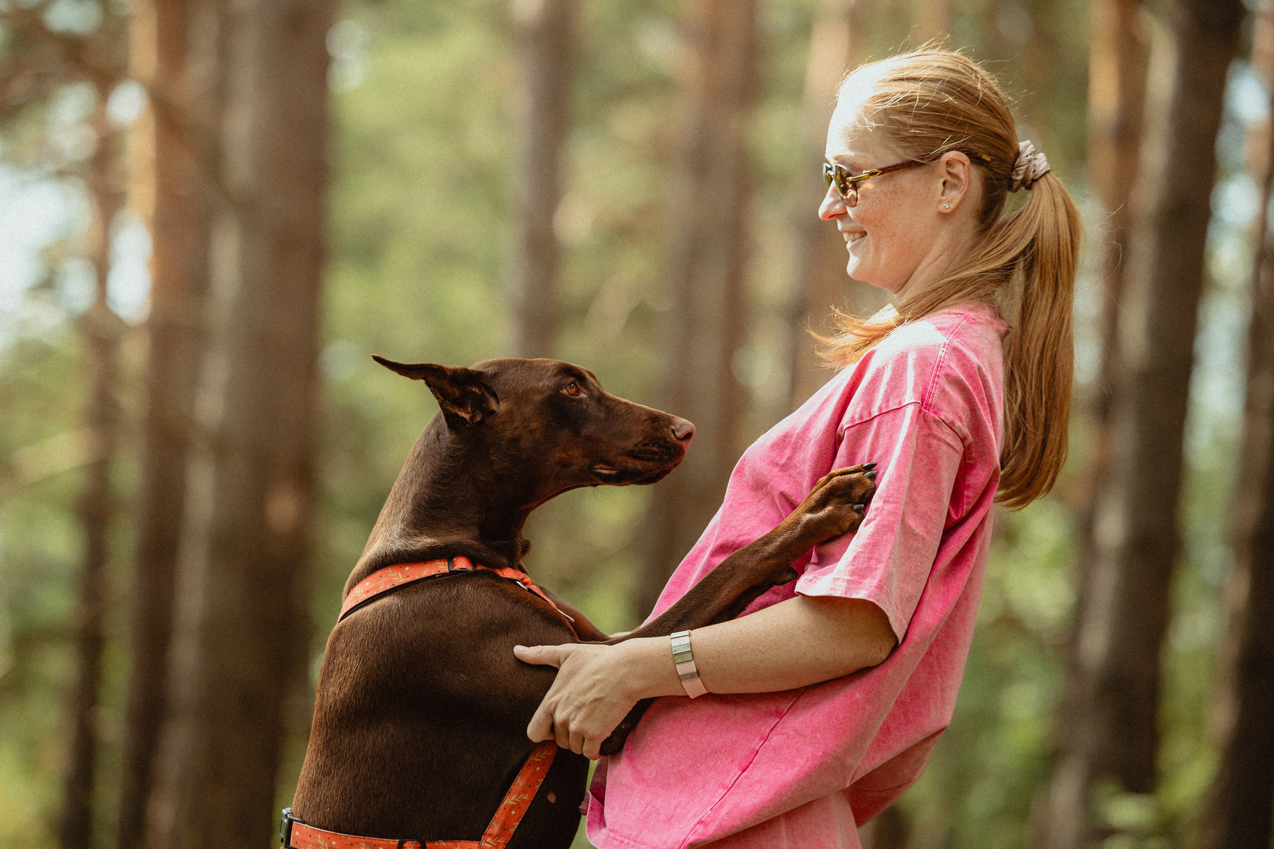 Выездной дог-тренинг от школы «Шерсть имею»