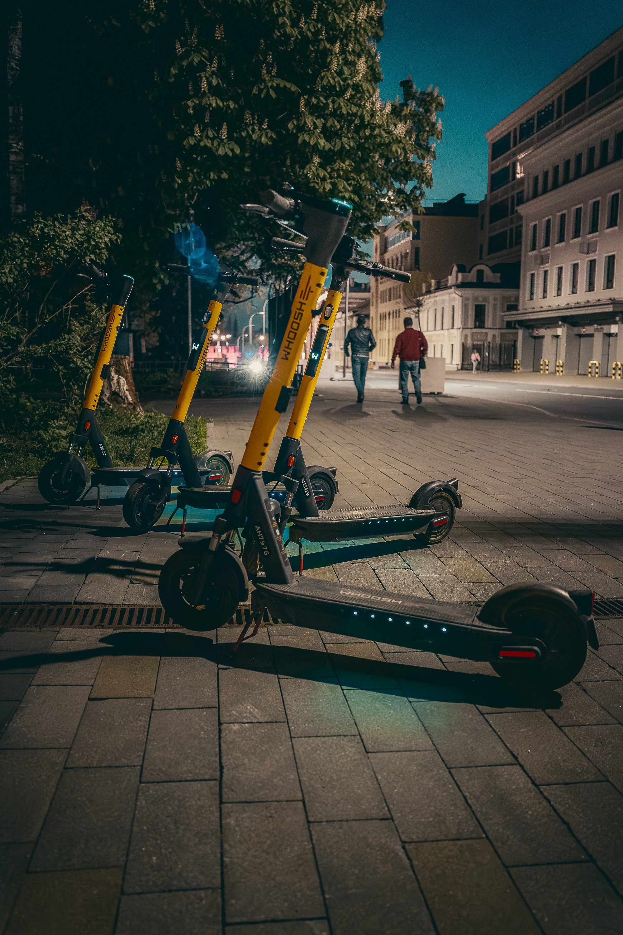 Фото Нижний Новгород. Фотошкола ArtFotoLife для начинающих и продвинутых фотографов