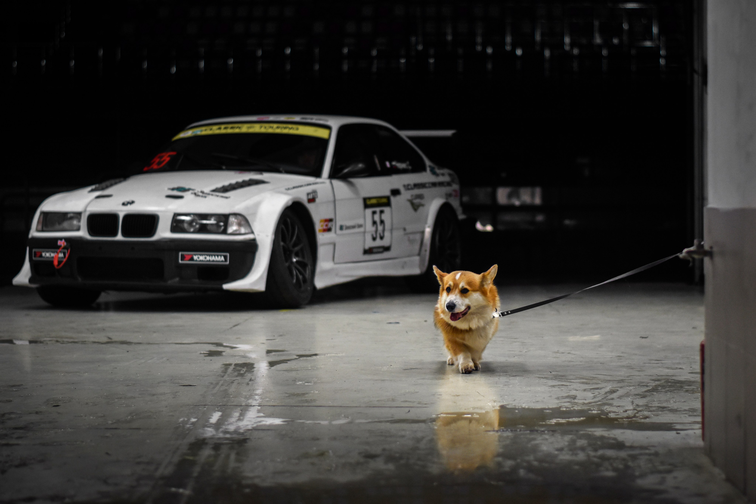 Classic Touring 6 этап 2024 Moscow Raceway. Голосов Дмитрий — автоспортивный фотограф