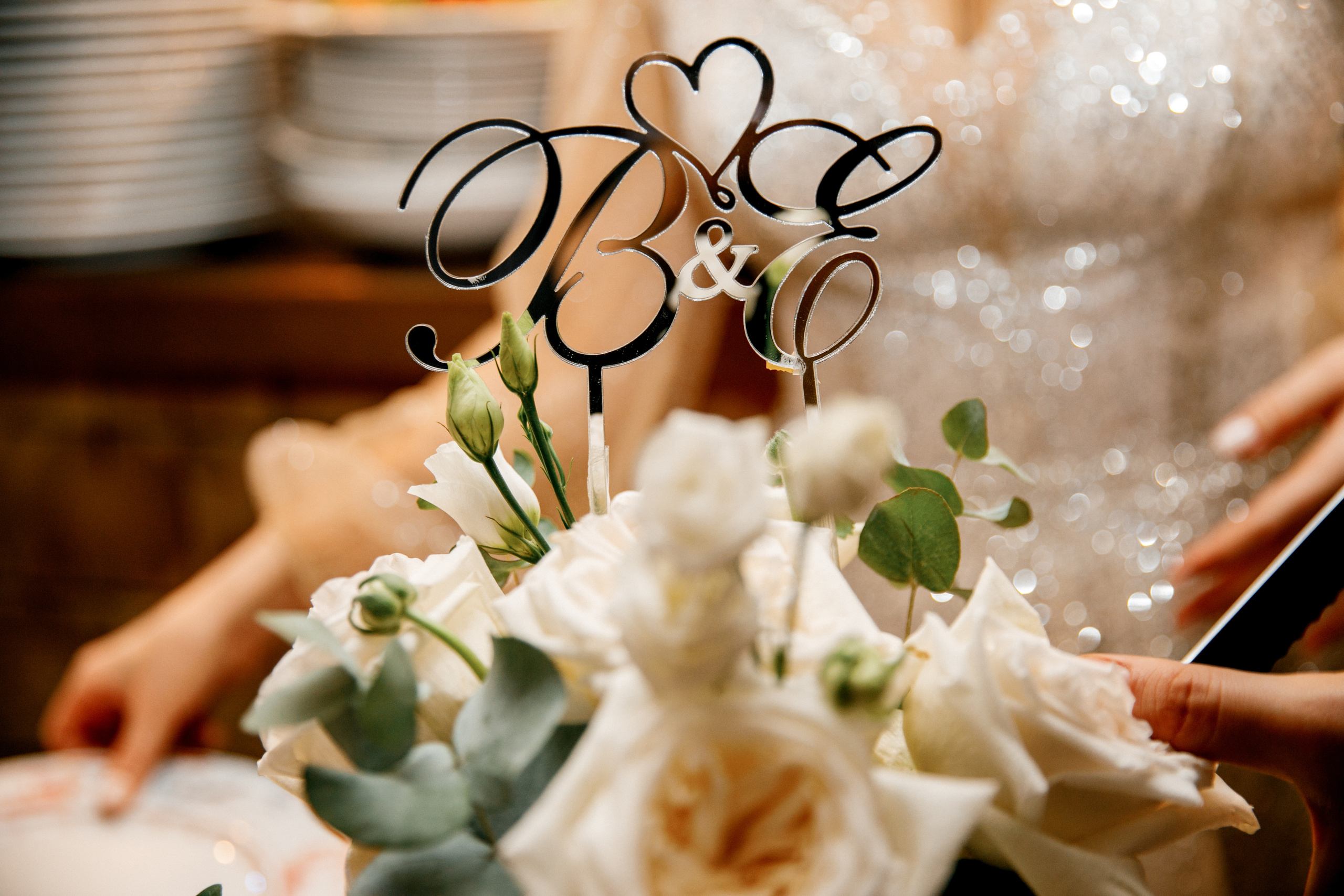 Свадьба Вадима и Елены 14 декабря 2018 года. Ведущий на свадьбу, корпоратив и юбилей в Москве Сергей Рябинин