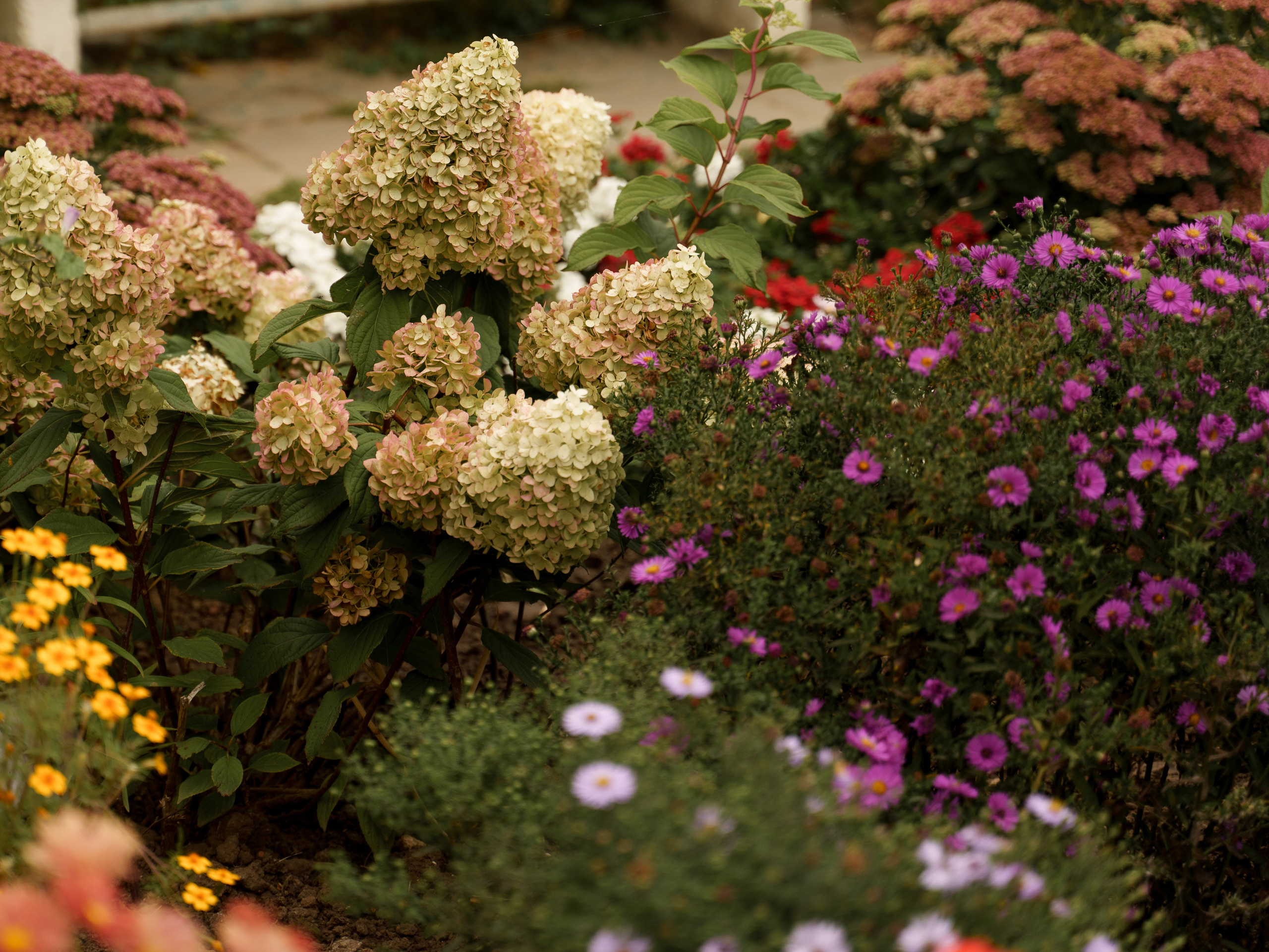Крещение Селены. Свадебный и семейный фотограф Диана Лбова. Чебоксары
